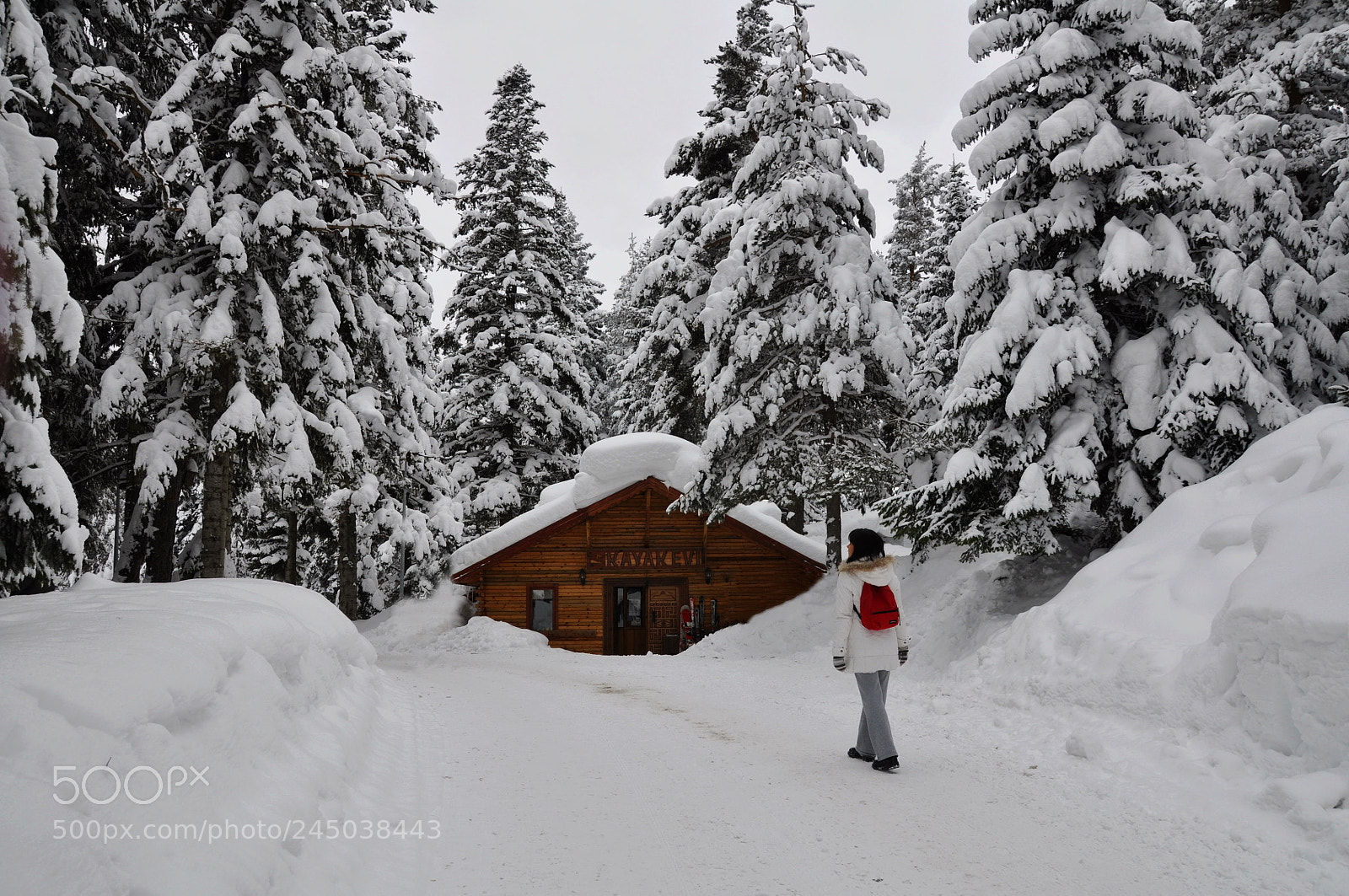 Nikon D90 sample photo. Snow photography