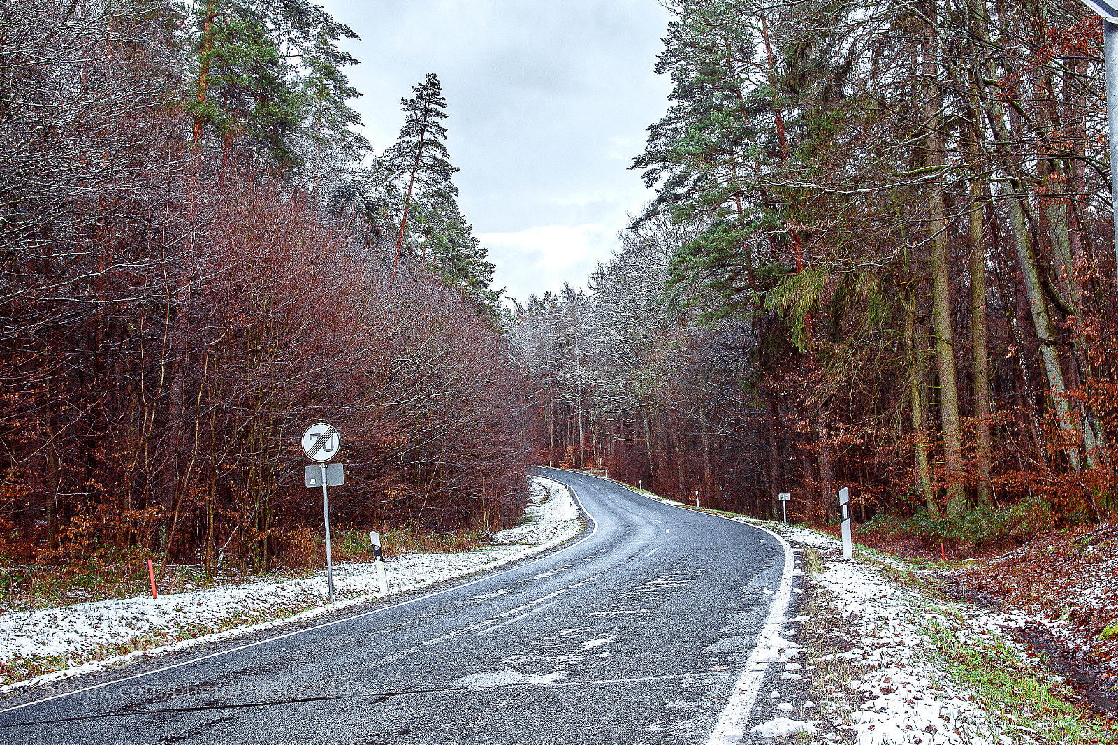Canon EOS 550D (EOS Rebel T2i / EOS Kiss X4) sample photo. Forest photography