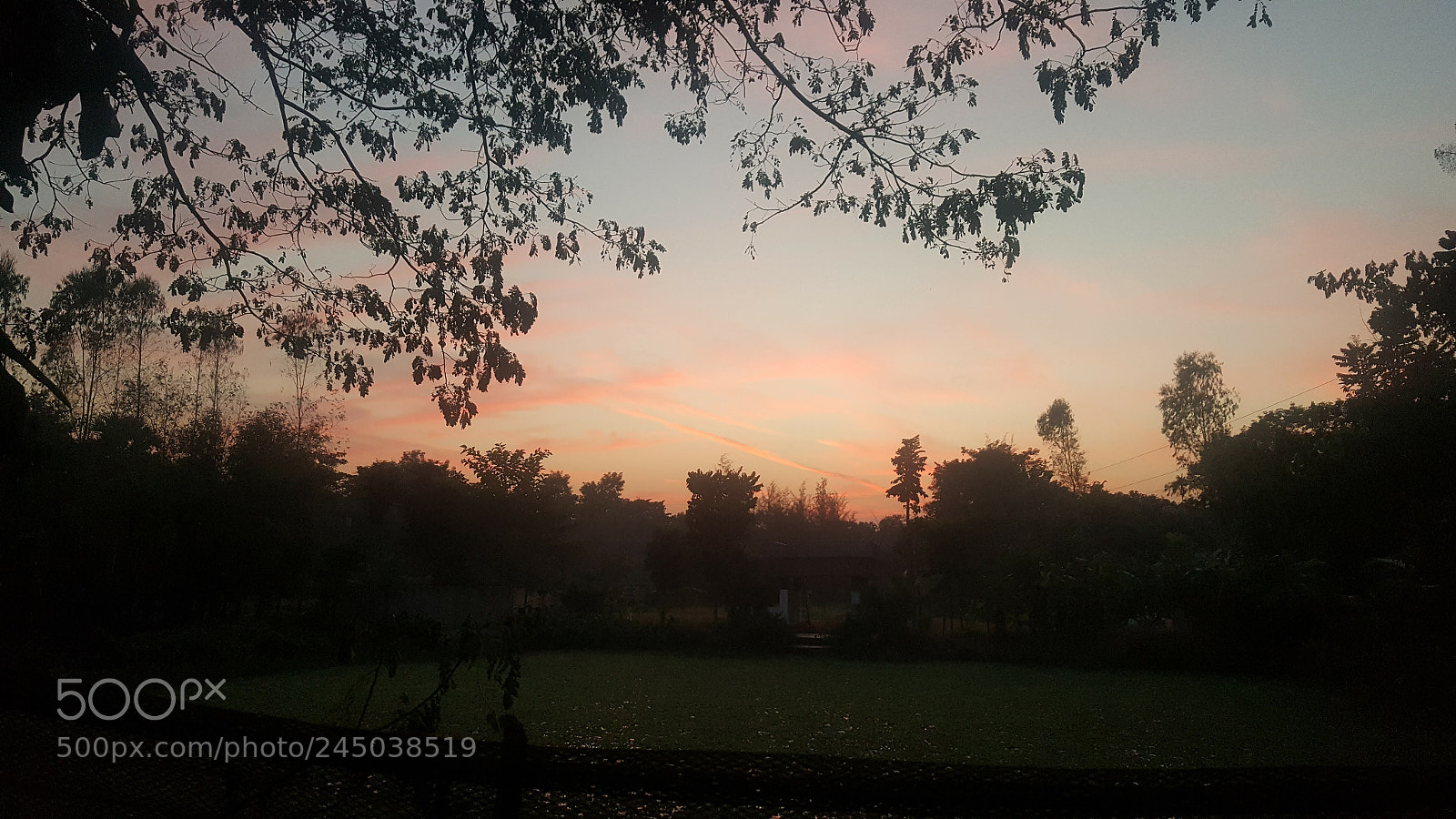 Samsung Galaxy Note5 sample photo. Sky with life photography