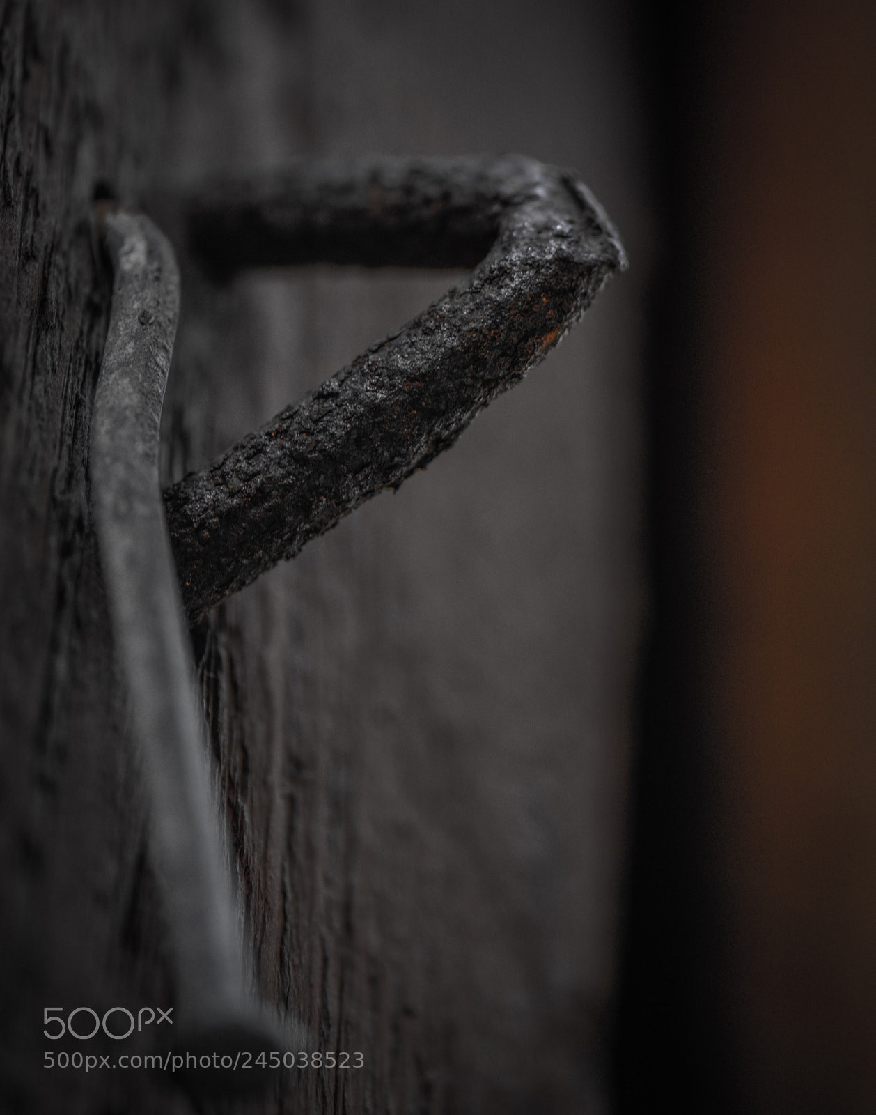 Nikon D850 sample photo. Untitled photography