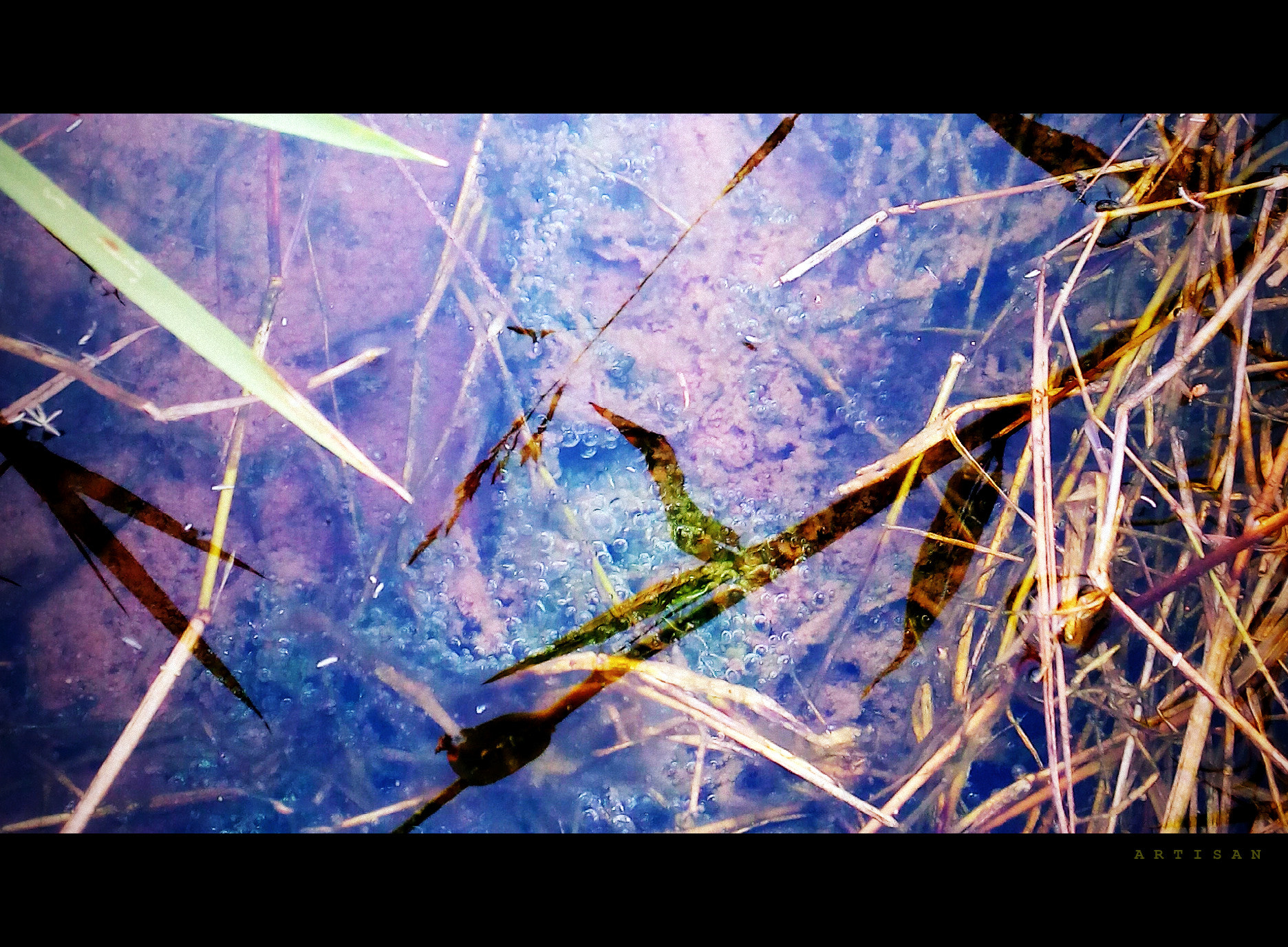 Micromax Canvas Spark sample photo. Reflection photography