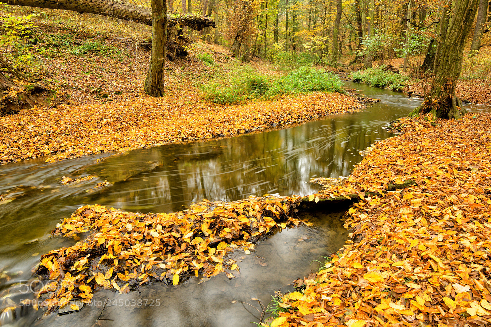 Nikon D7200 sample photo. Kunratický creek in autumn photography