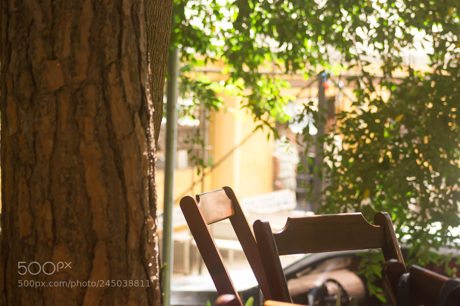 Canon EOS 550D (EOS Rebel T2i / EOS Kiss X4) sample photo. Vamos tomar um café? photography