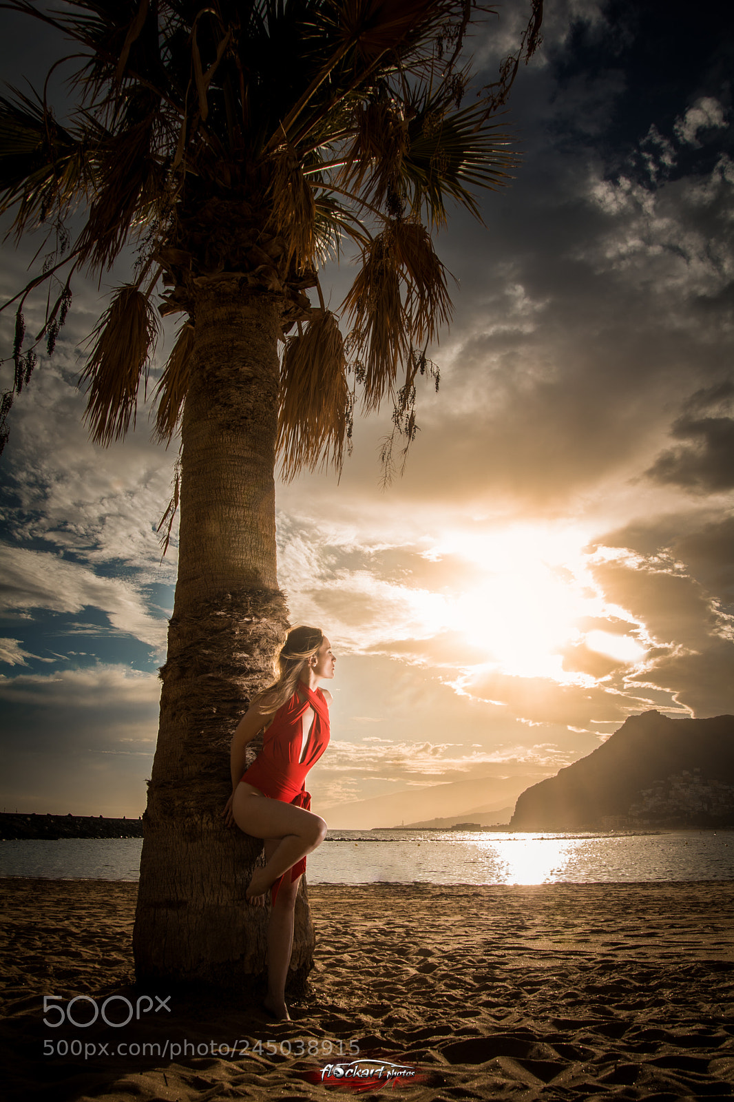 Nikon D7100 sample photo. Satine photography