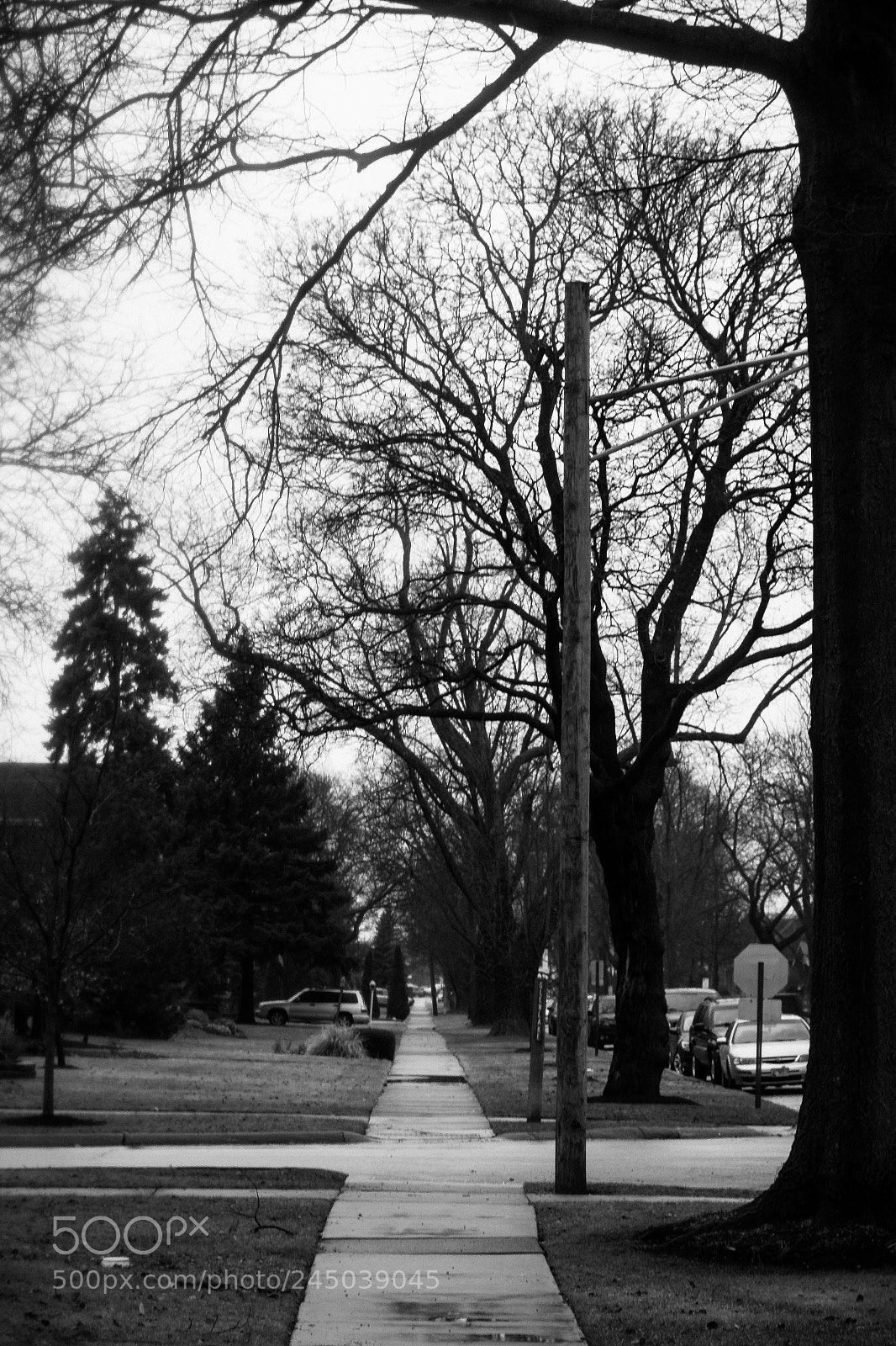 Canon EOS 550D (EOS Rebel T2i / EOS Kiss X4) sample photo. Gray afternoon ice photography
