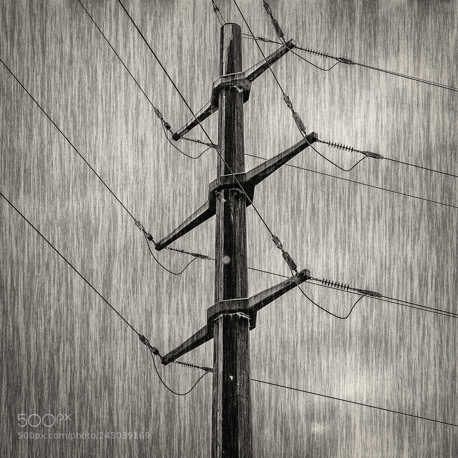 Nikon D500 sample photo. Ligne directe photography