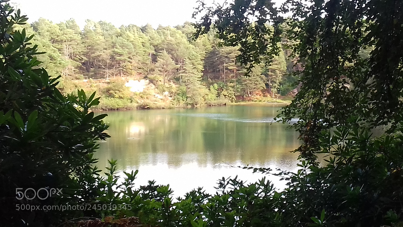 Samsung Galaxy J3(2016) sample photo. Looking through the trees photography