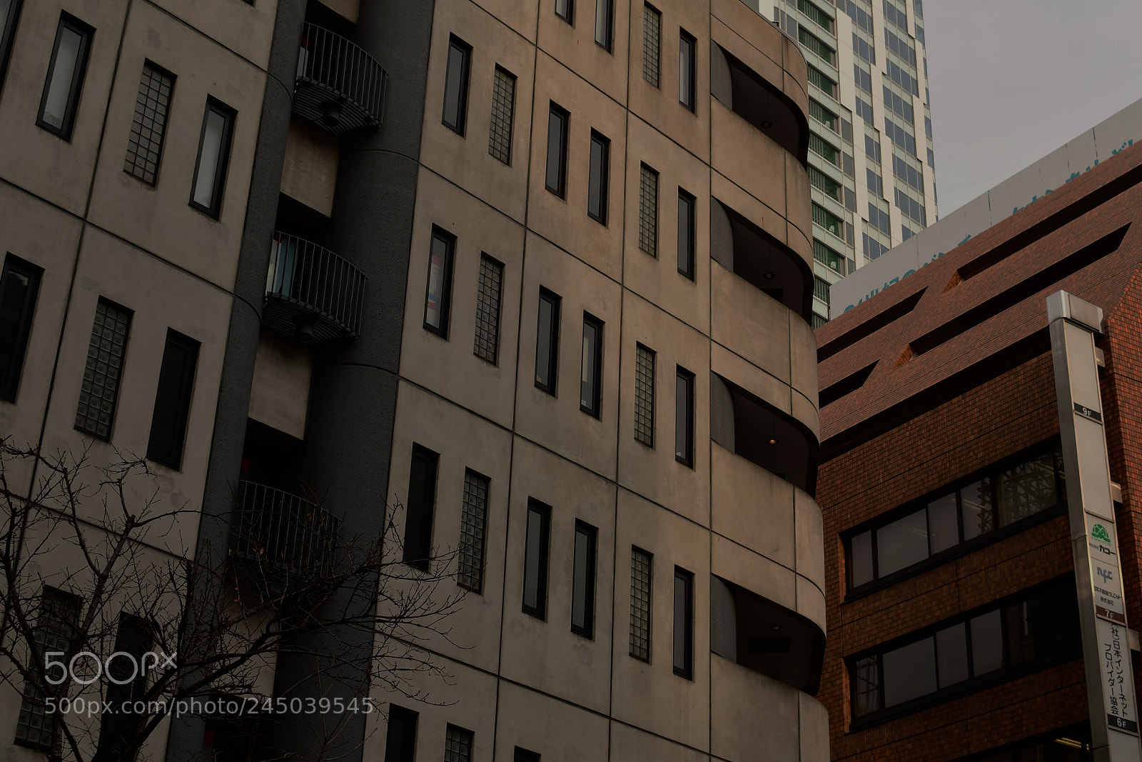 Nikon D500 sample photo. Untitled photography