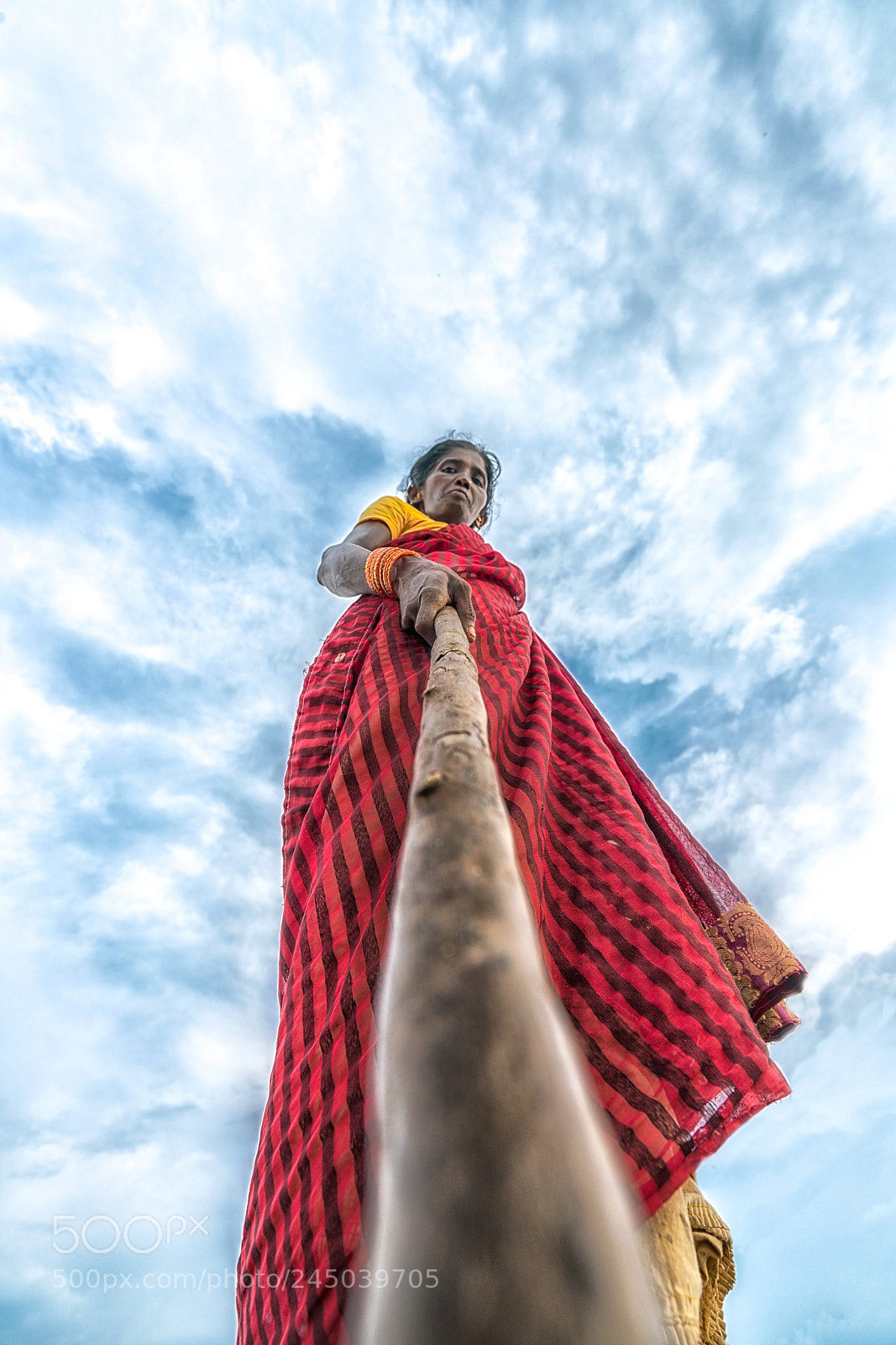 Sony a7R II sample photo. Nature's selfie stick photography