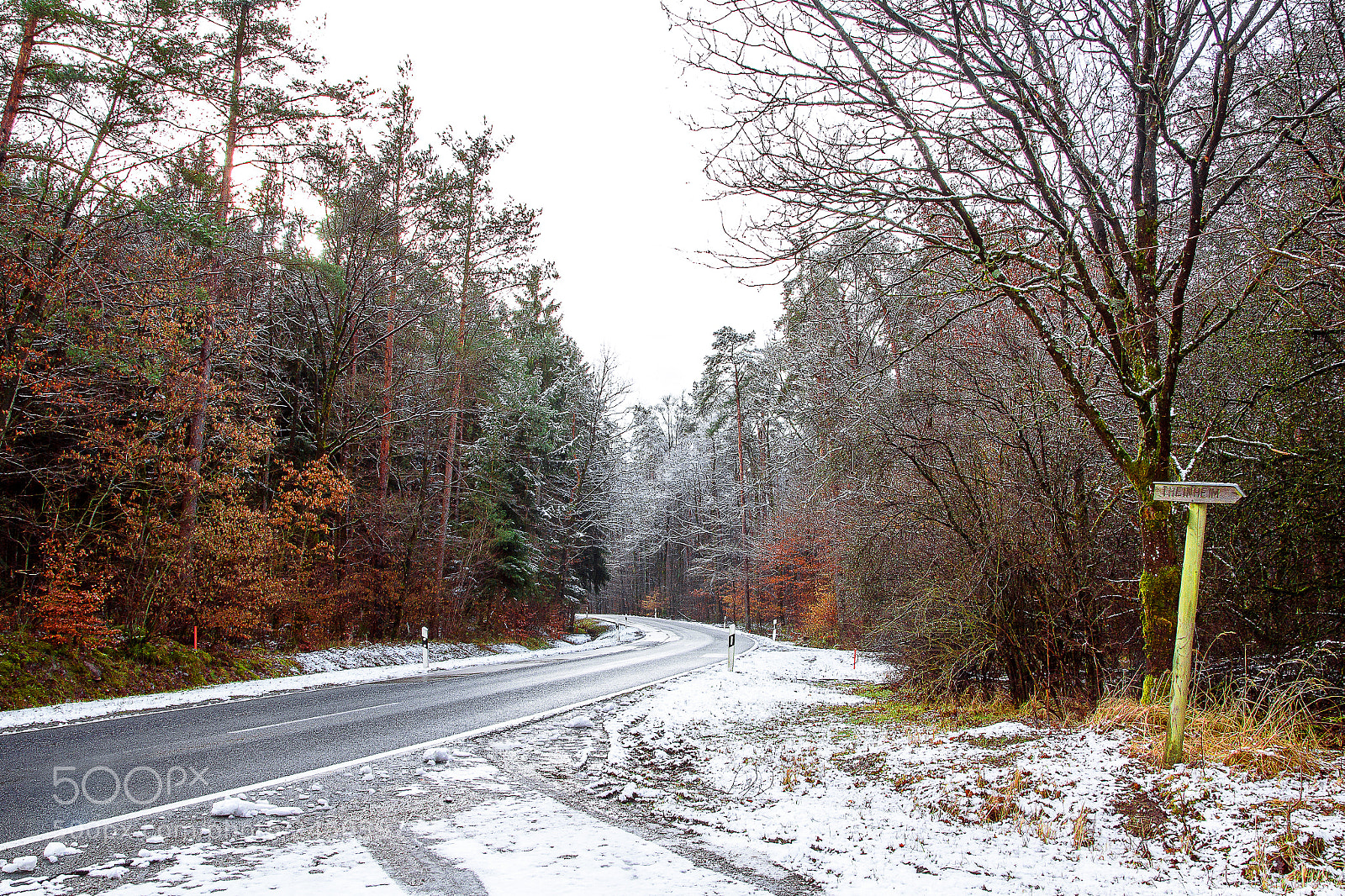 Canon EOS 550D (EOS Rebel T2i / EOS Kiss X4) sample photo. Forest photography