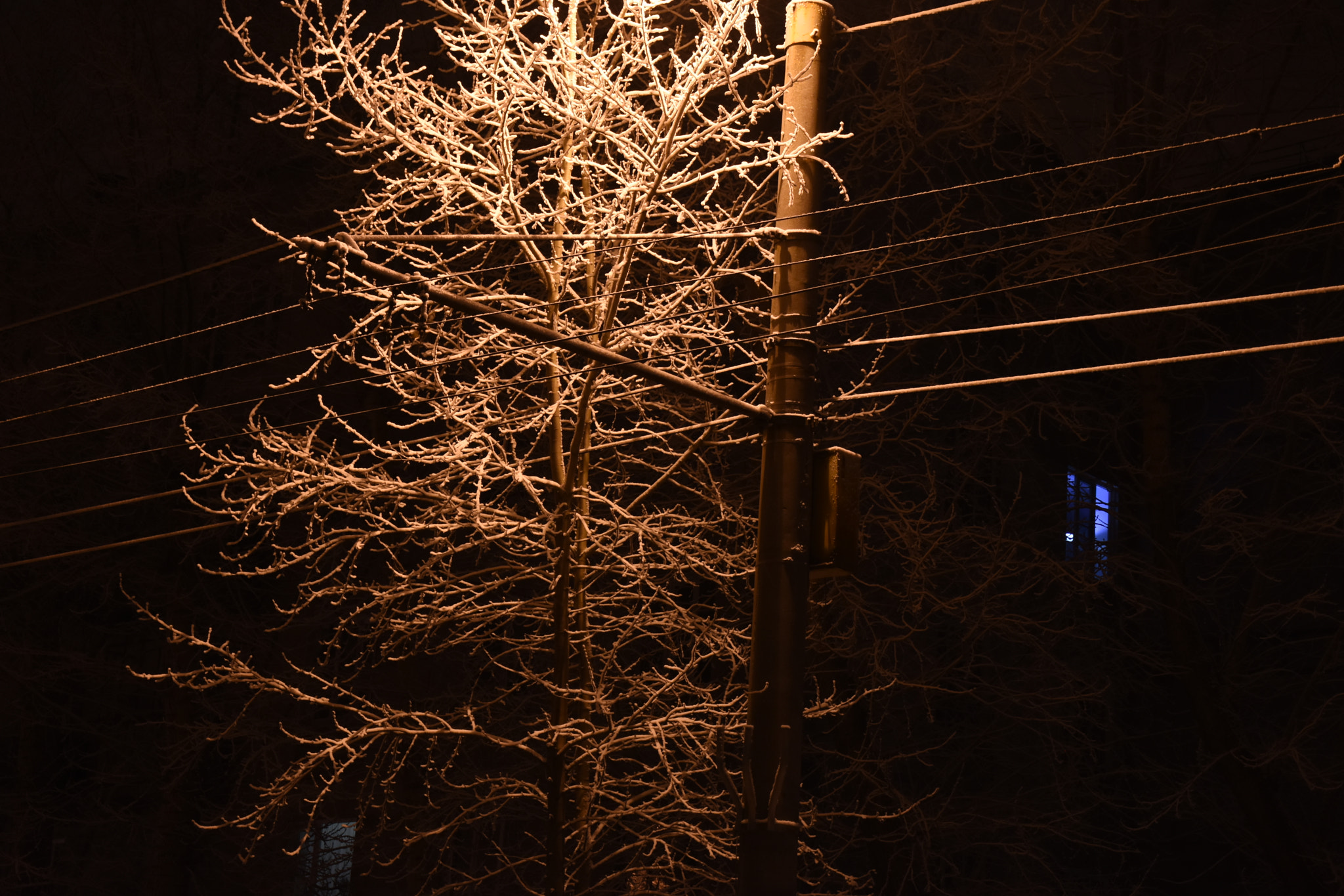 Nikon D7200 sample photo