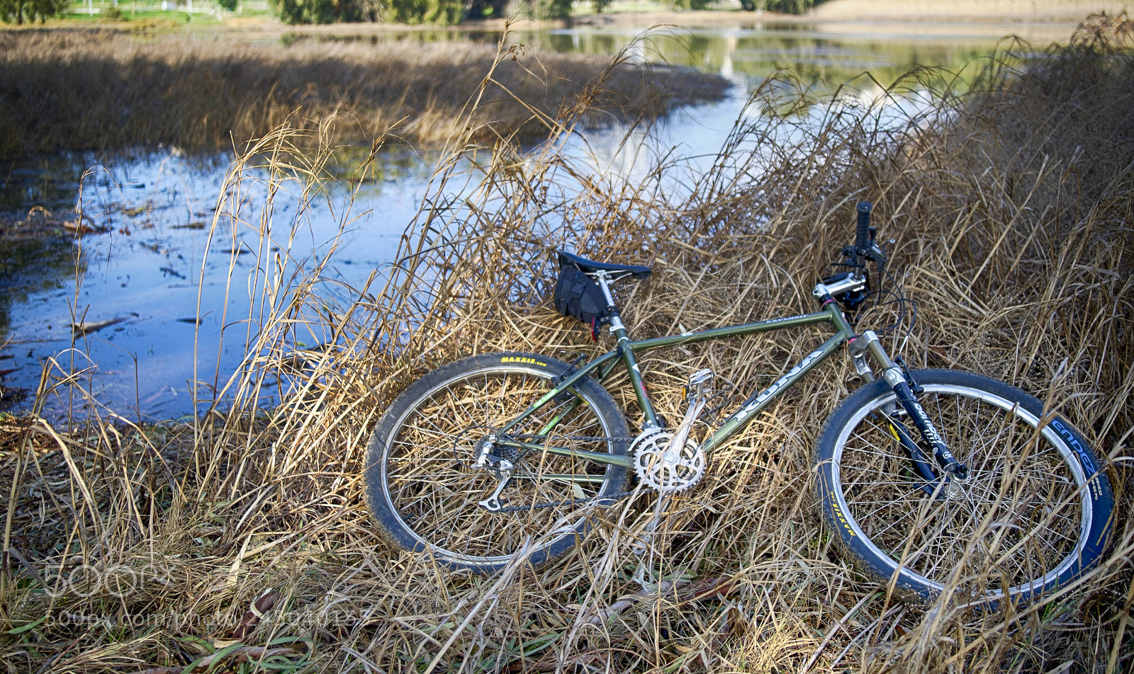 Fujifilm X-T1 sample photo. My kona photography