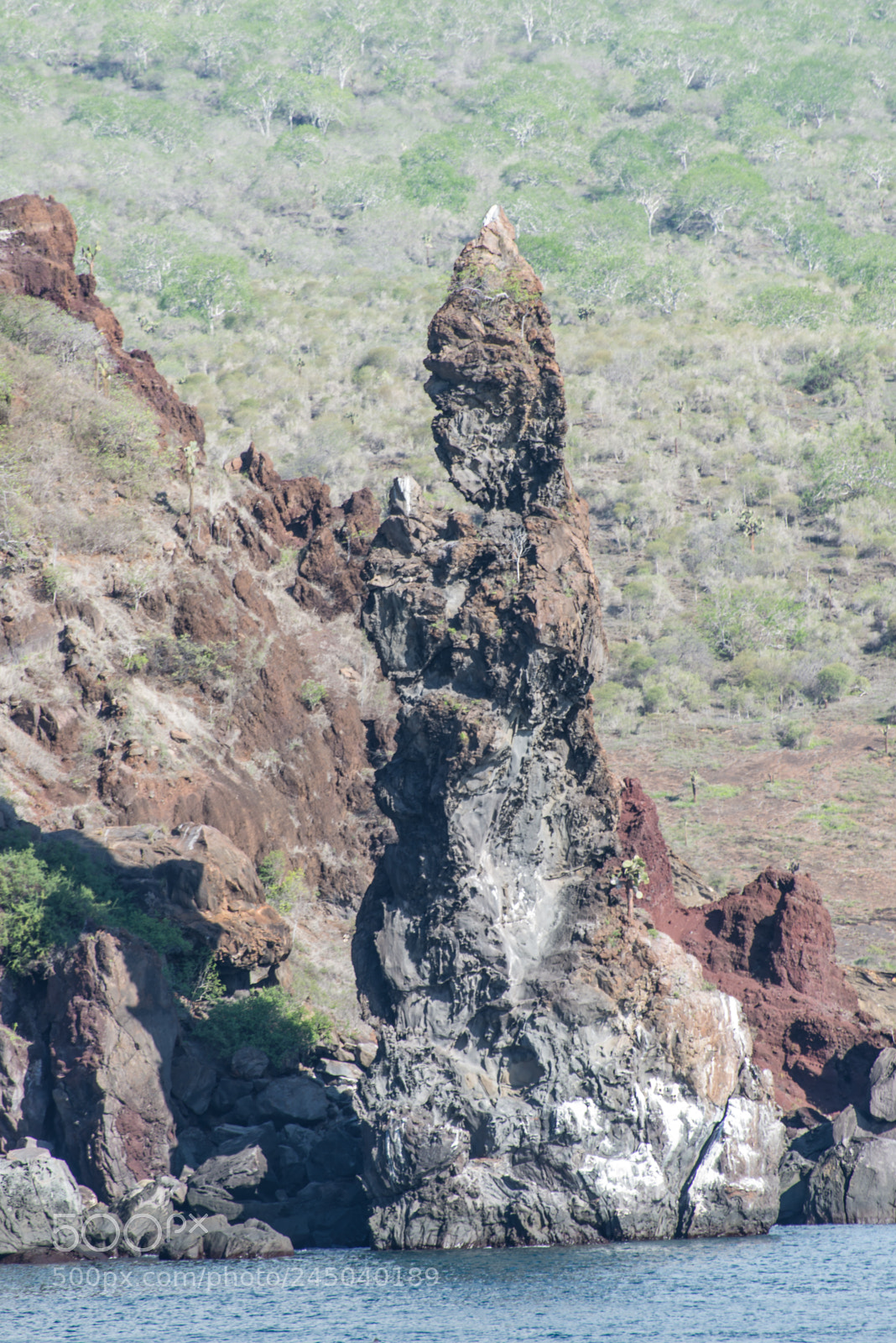 Nikon D610 sample photo. Monk rock, santiago island photography