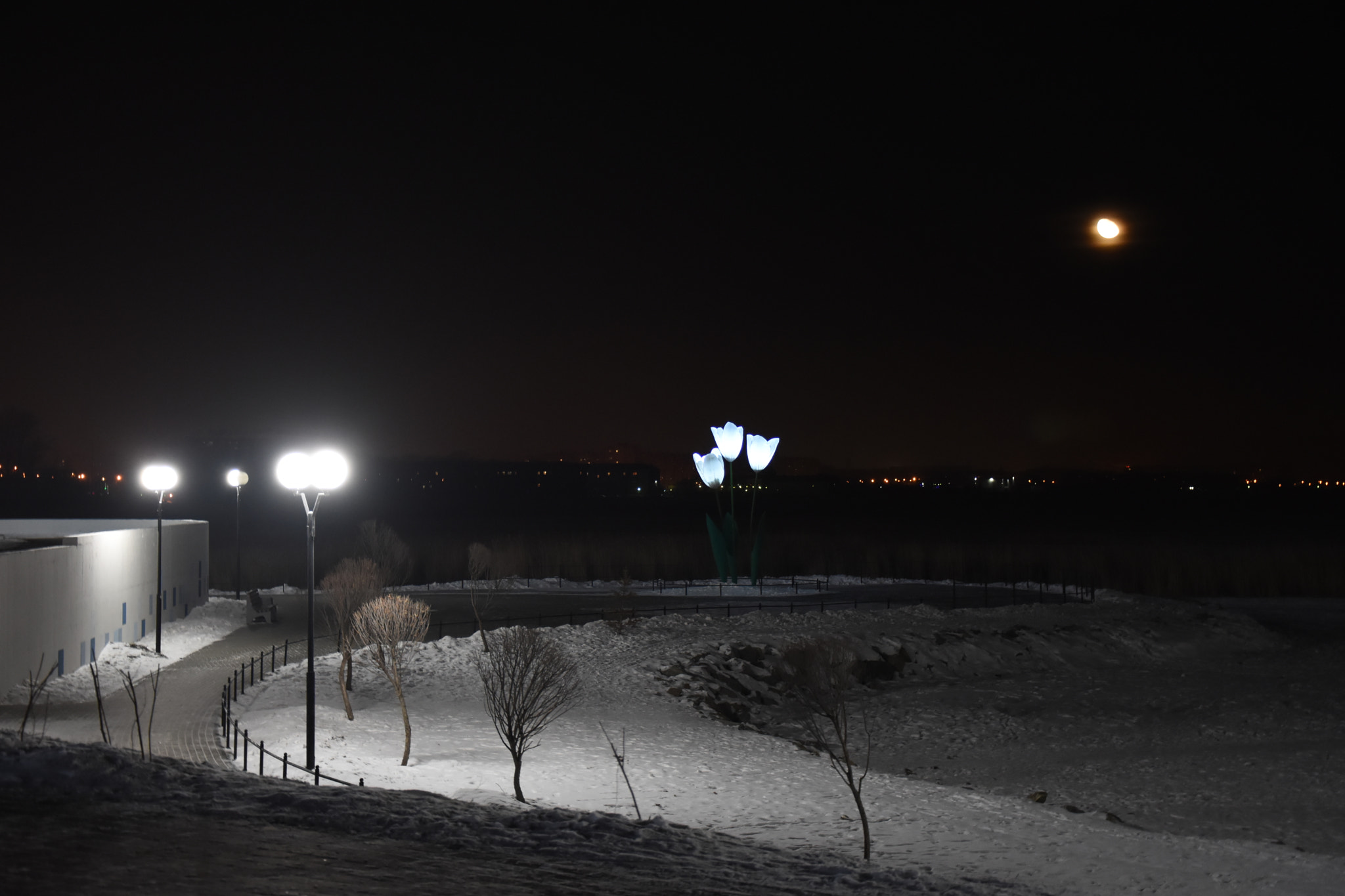 Nikon D7200 sample photo