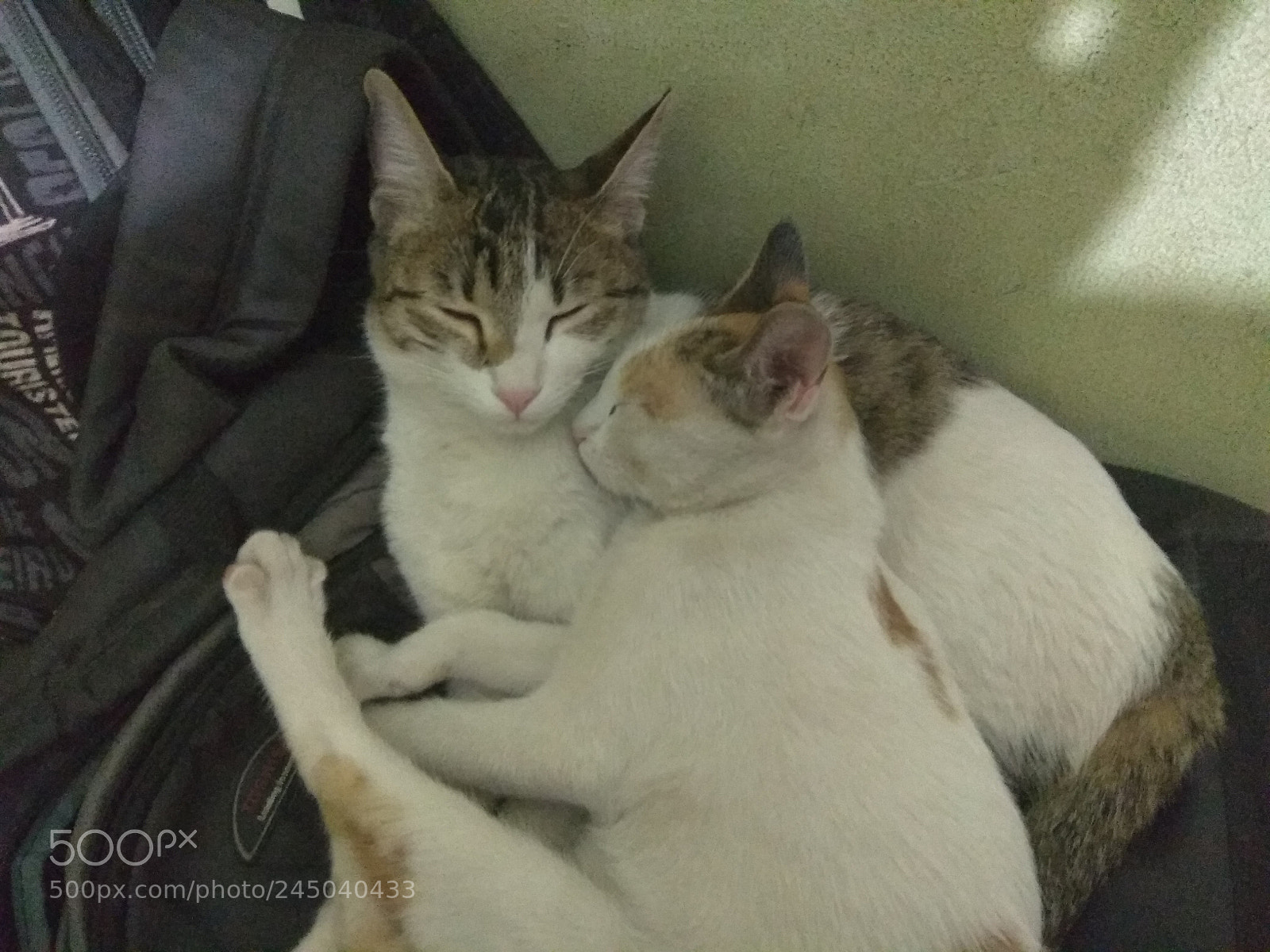 Xiaomi Redmi Note 4 sample photo. Untitled photography