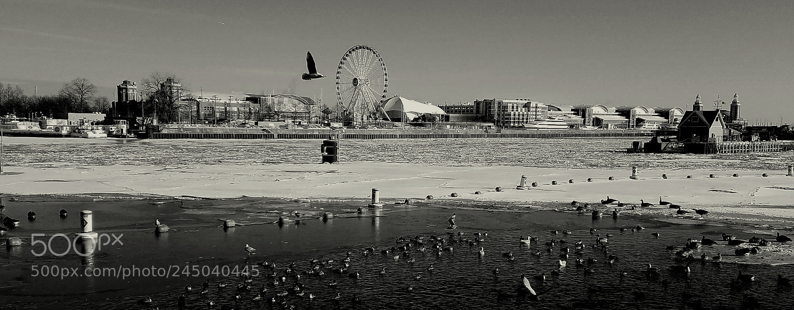 Samsung Galaxy S7 sample photo. Chicago navy pier photography