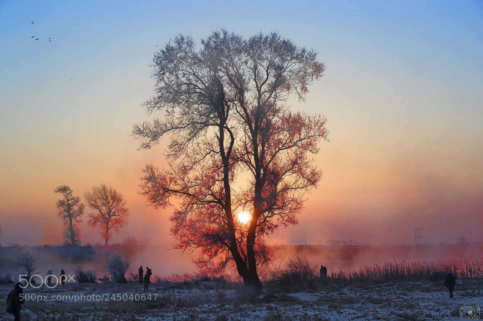 Canon EOS-1D X Mark II sample photo. Sunrise by the songhua photography