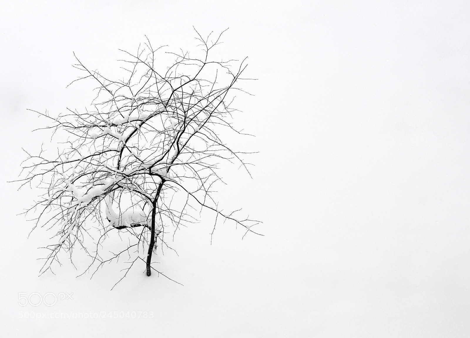 Nikon D700 sample photo. Moscow winter photography