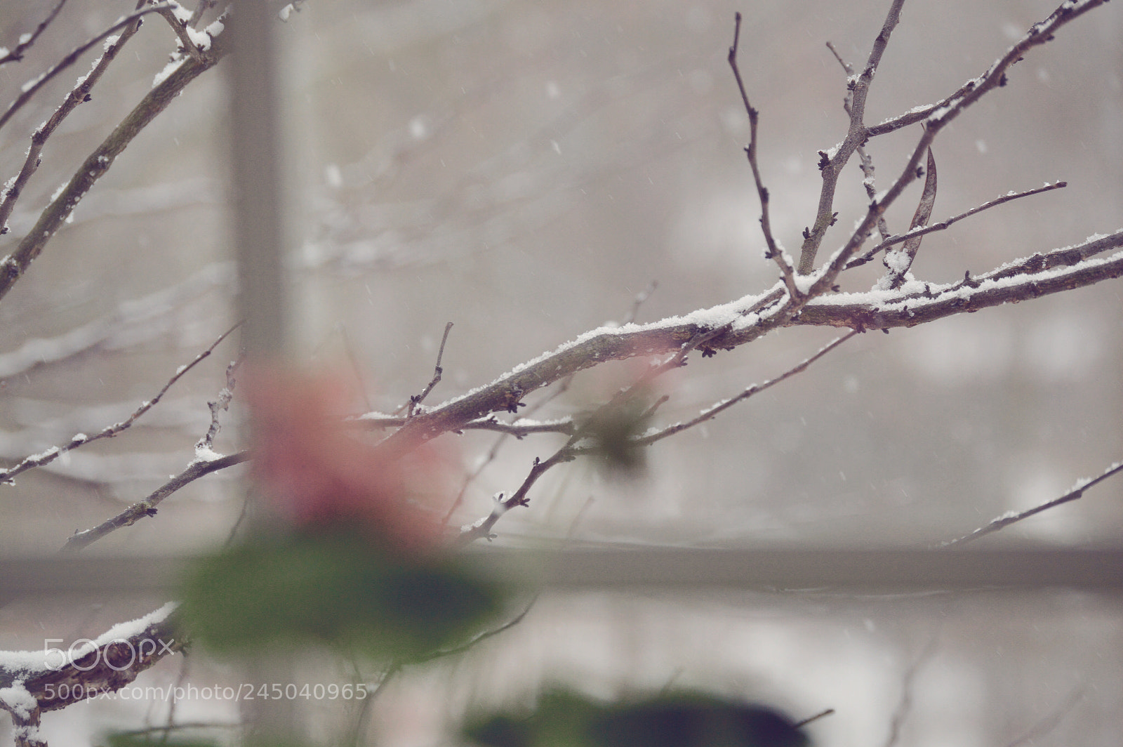 Nikon D3200 sample photo. Where is the spring photography