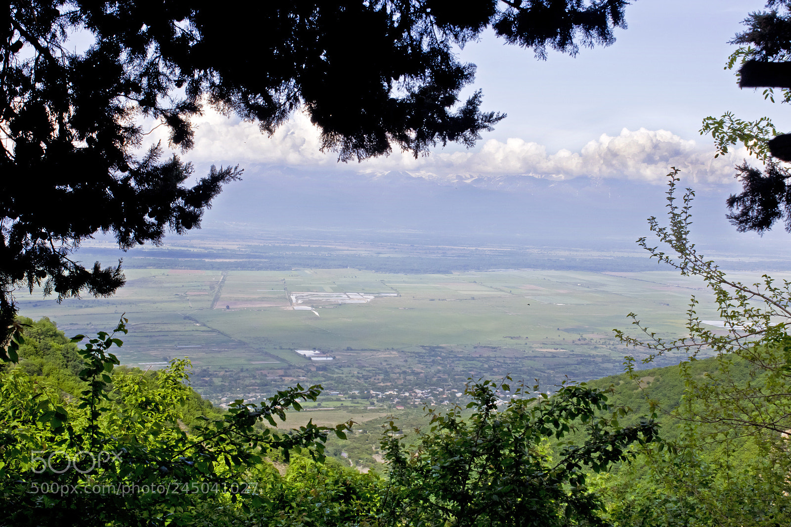 Canon EOS 60D sample photo. Img photography