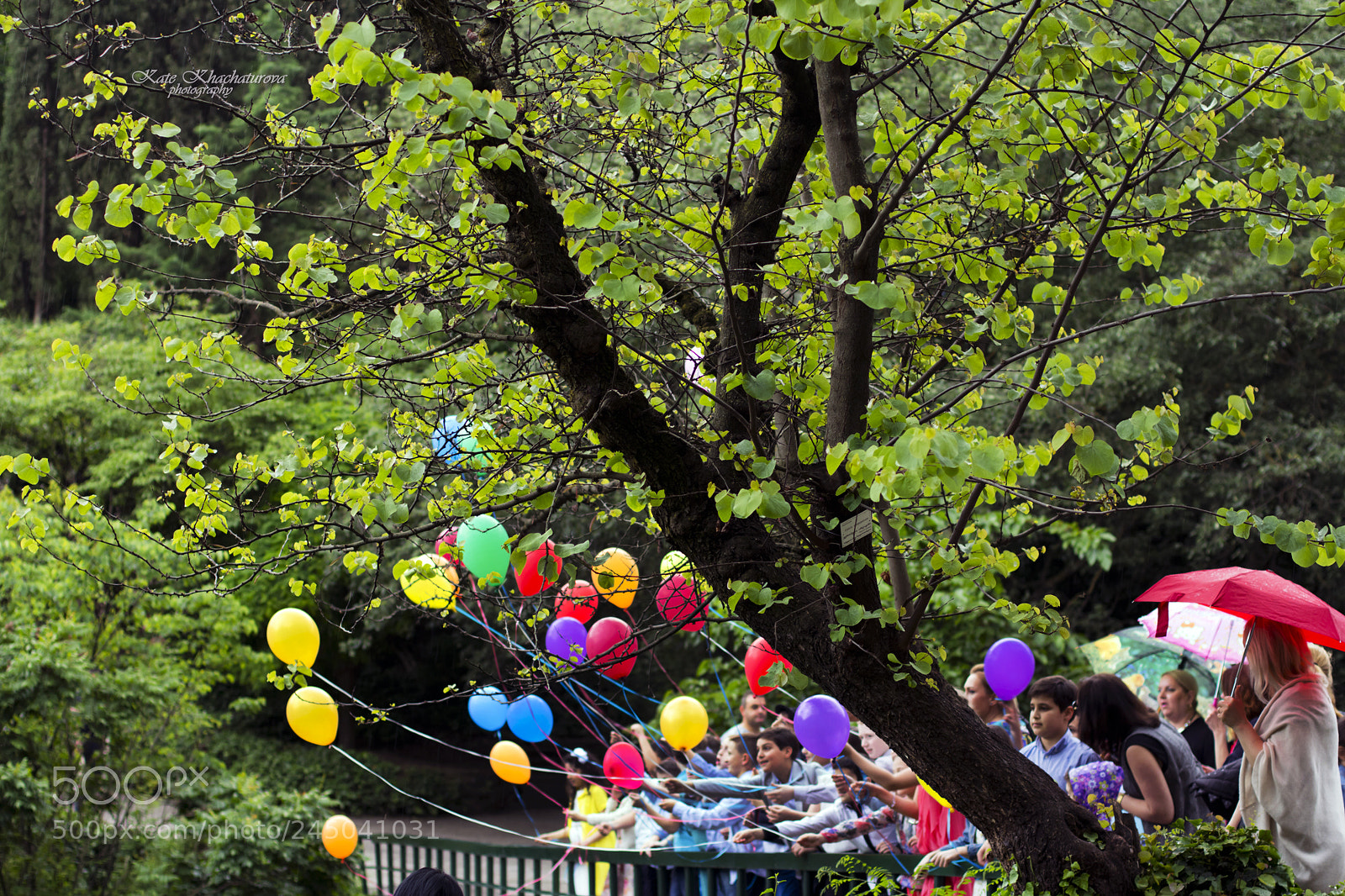Canon EOS 60D sample photo. Img photography
