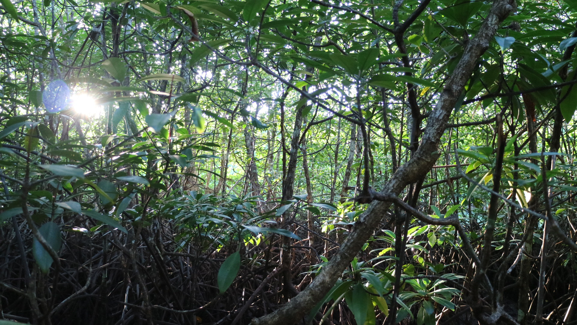 Canon EOS M3 sample photo