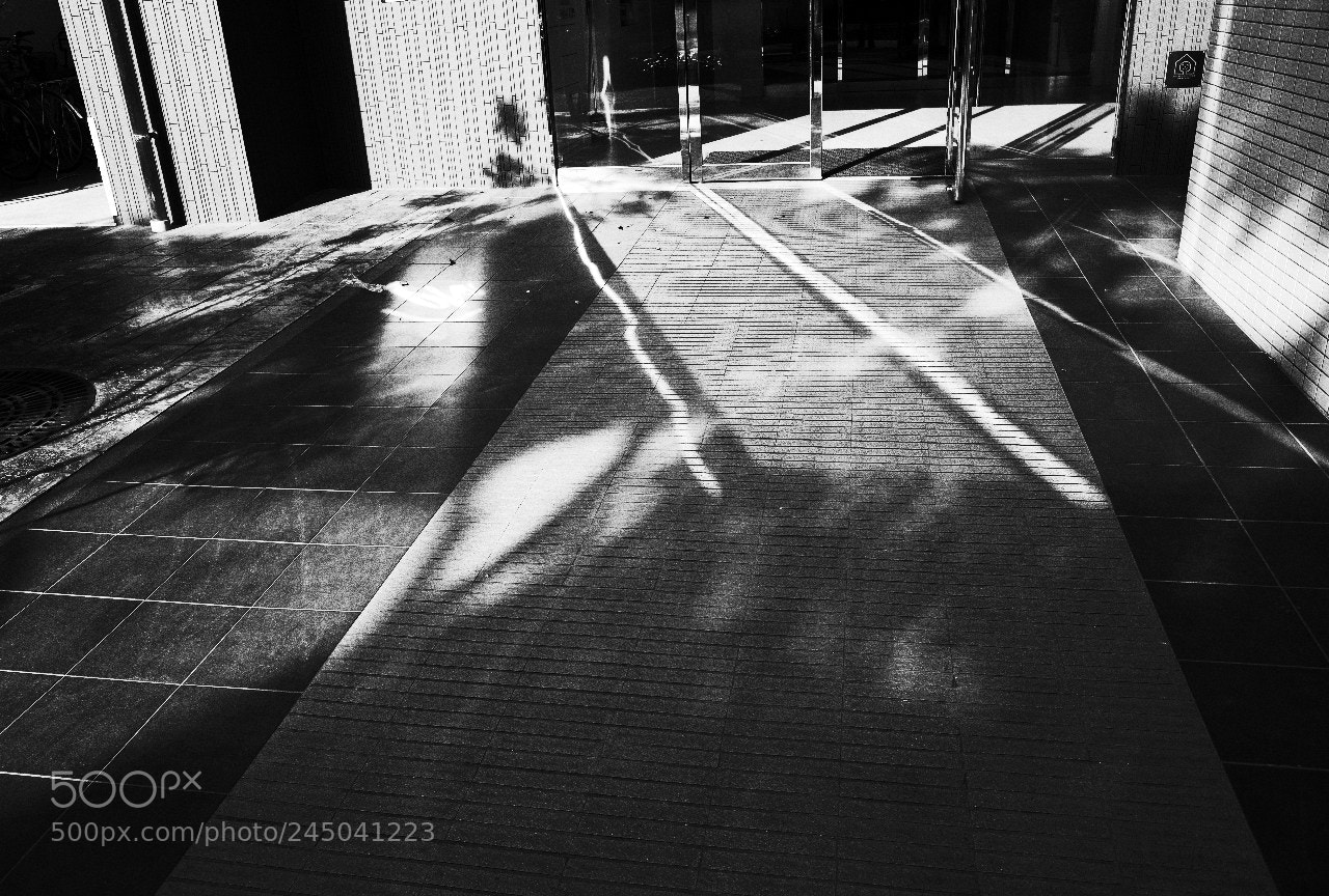 Ricoh GR sample photo. Untitled photography