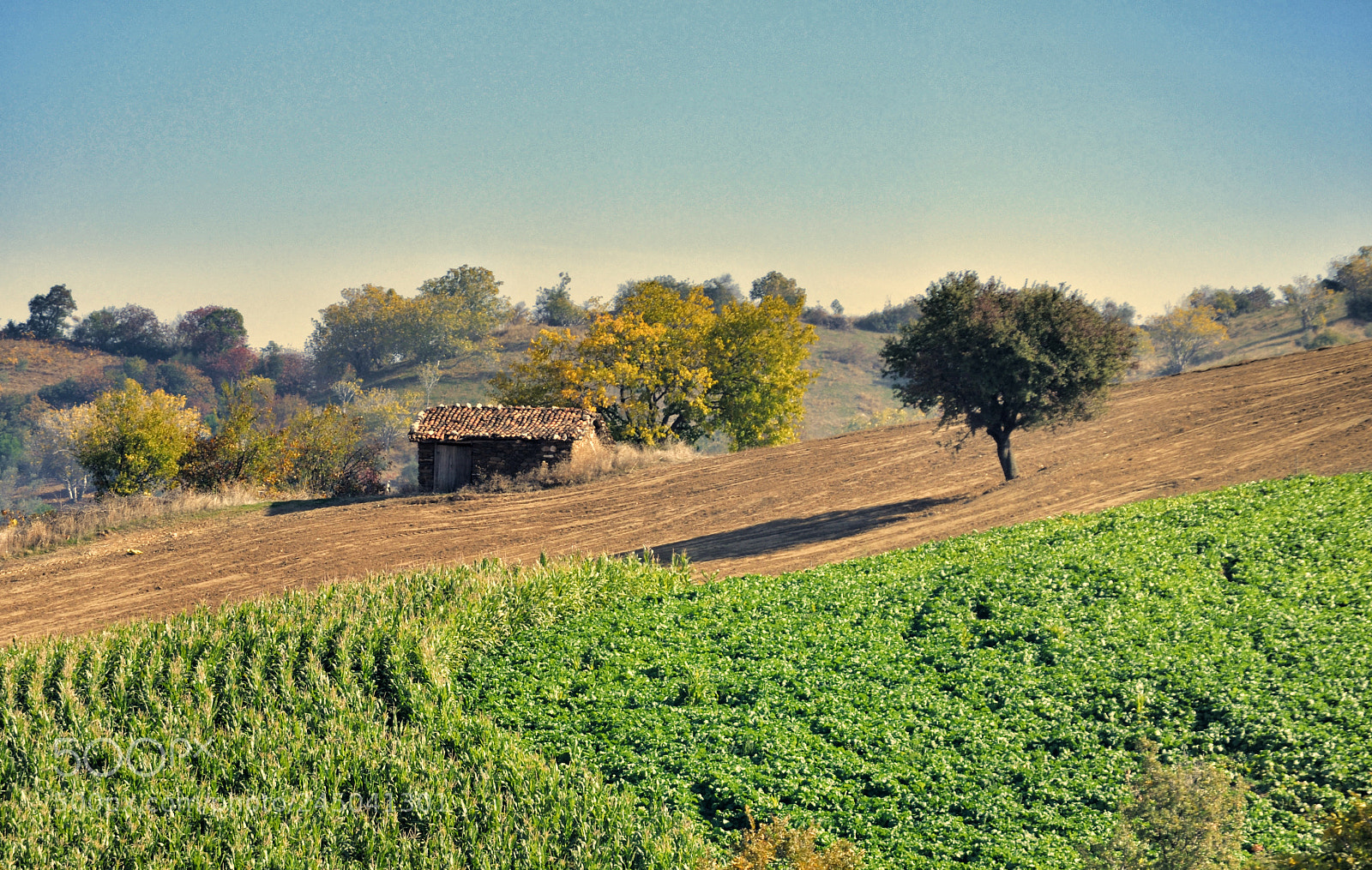 Nikon D5100 sample photo. Alone photography