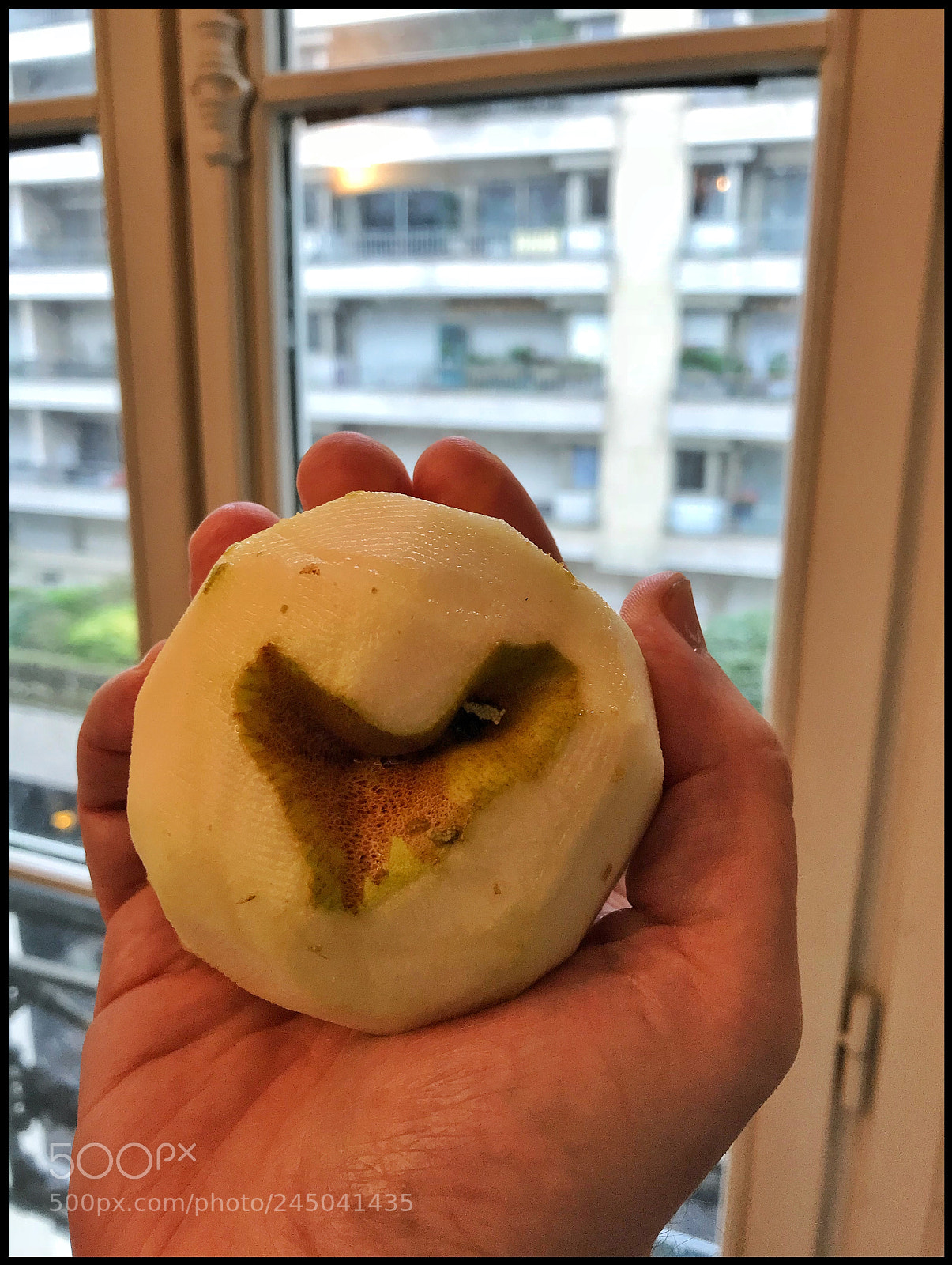 Apple iPhone 7 sample photo. The what photography