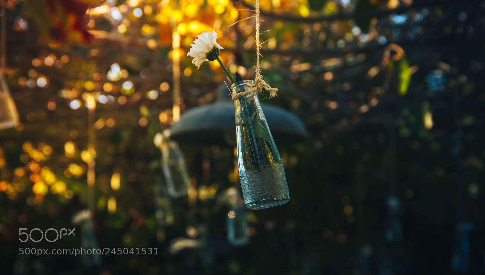 Canon EOS 60D sample photo. Alla vita photography