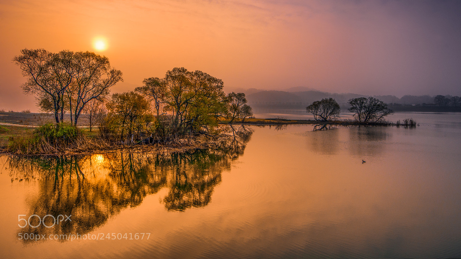 Nikon D610 sample photo. A silent sunrise photography