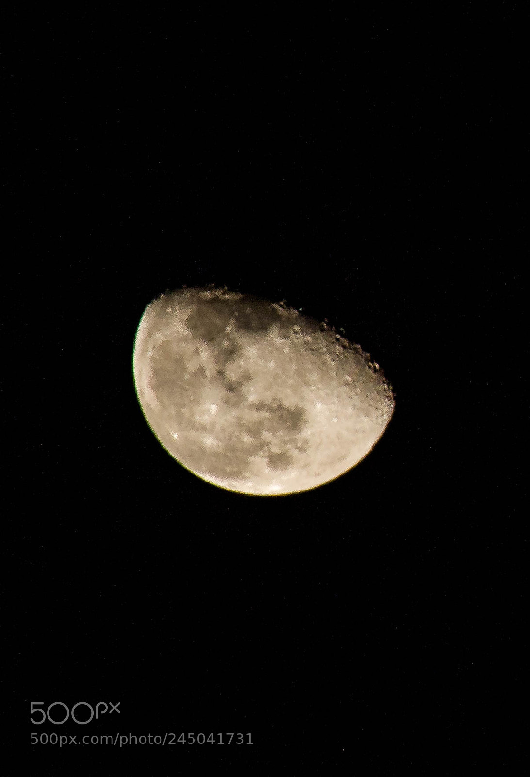 Canon EOS 550D (EOS Rebel T2i / EOS Kiss X4) sample photo. Lifeless photography