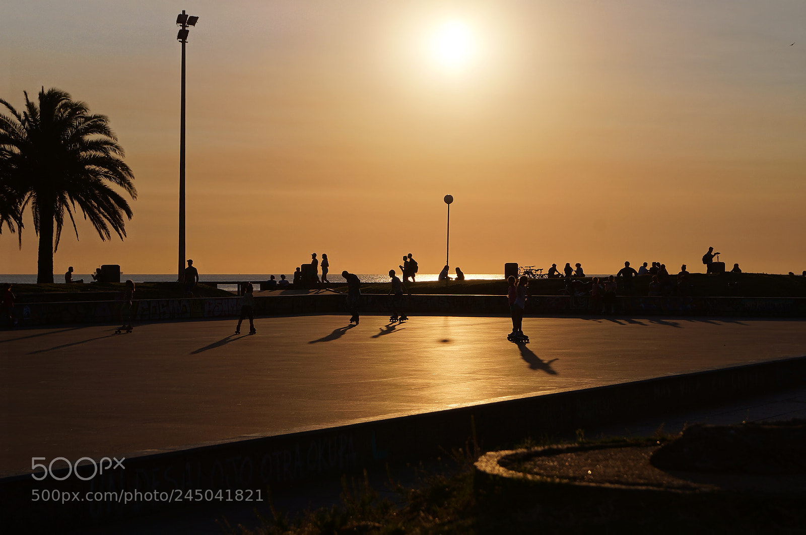 Sony SLT-A37 sample photo. Golden skate rink photography
