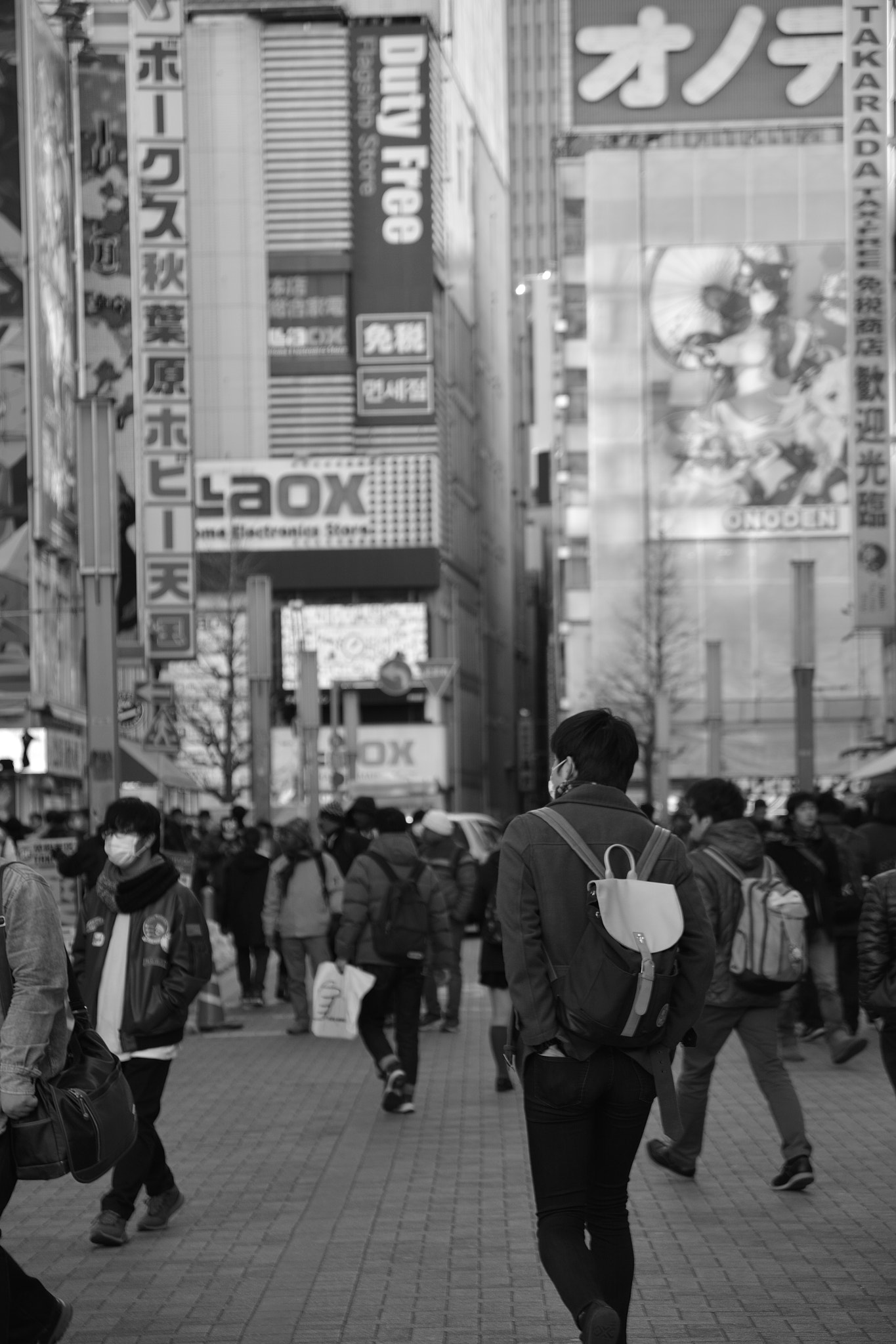 Nikon D5200 + Sigma 17-70mm F2.8-4 DC Macro OS HSM | C sample photo. Akihabara photography