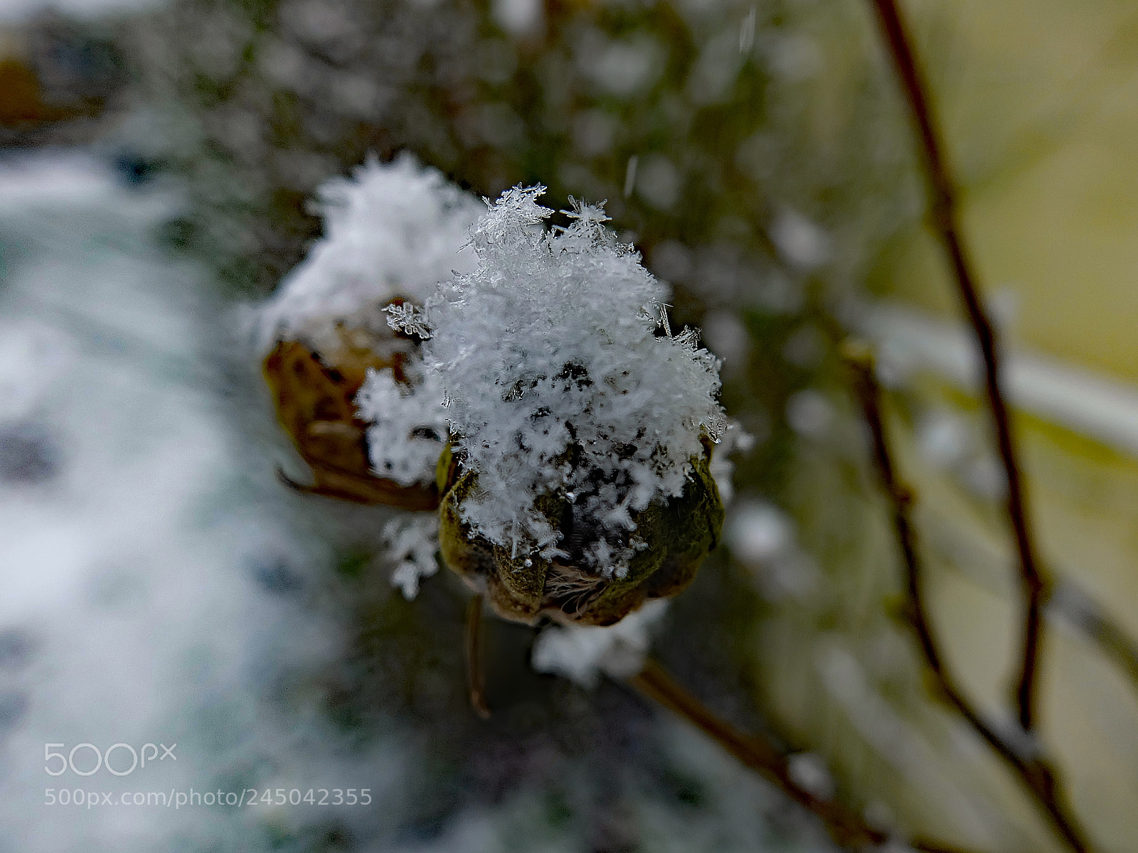 Fujifilm X30 sample photo. Neige photography