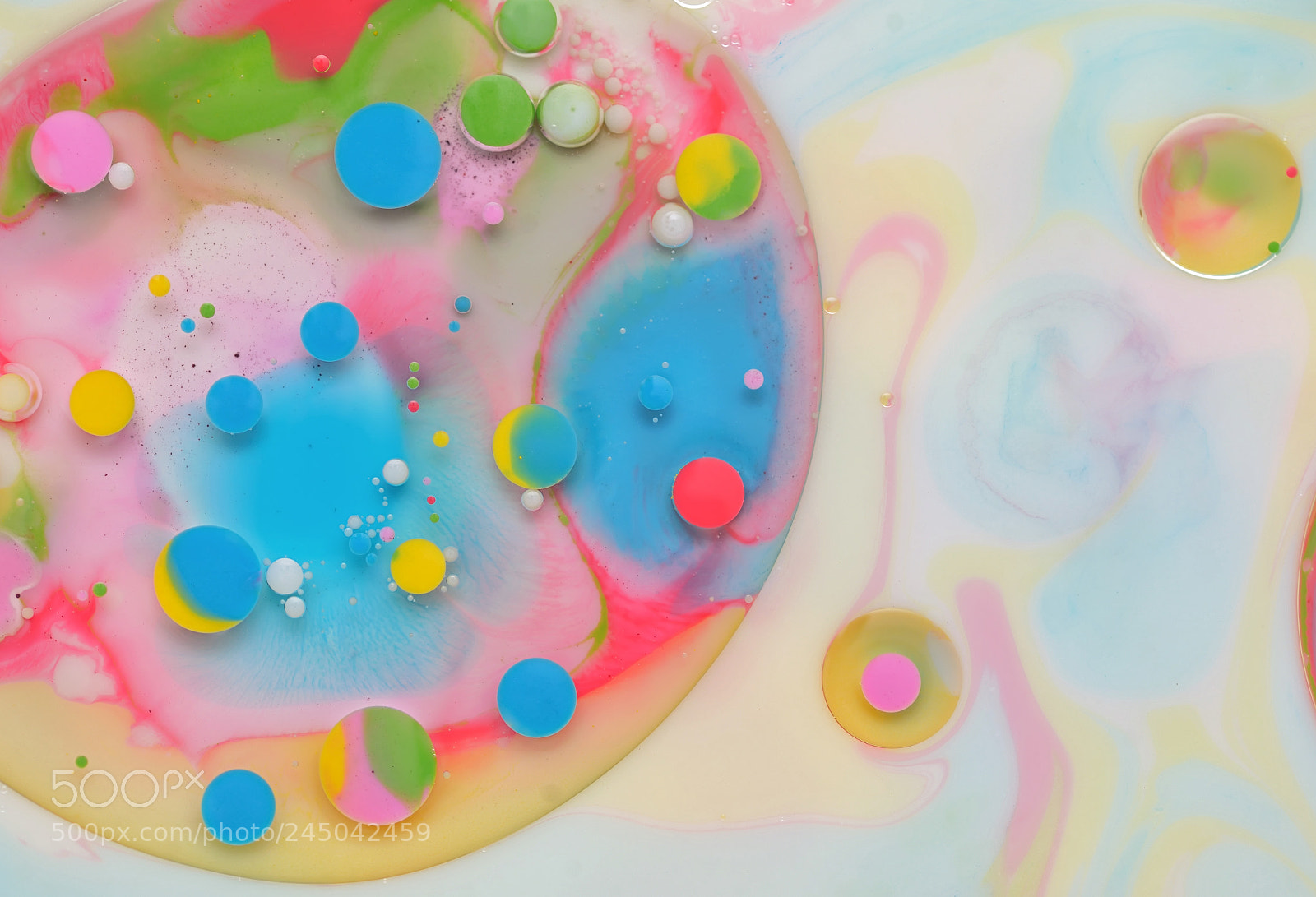 Nikon D610 sample photo. Water, milk and oil photography