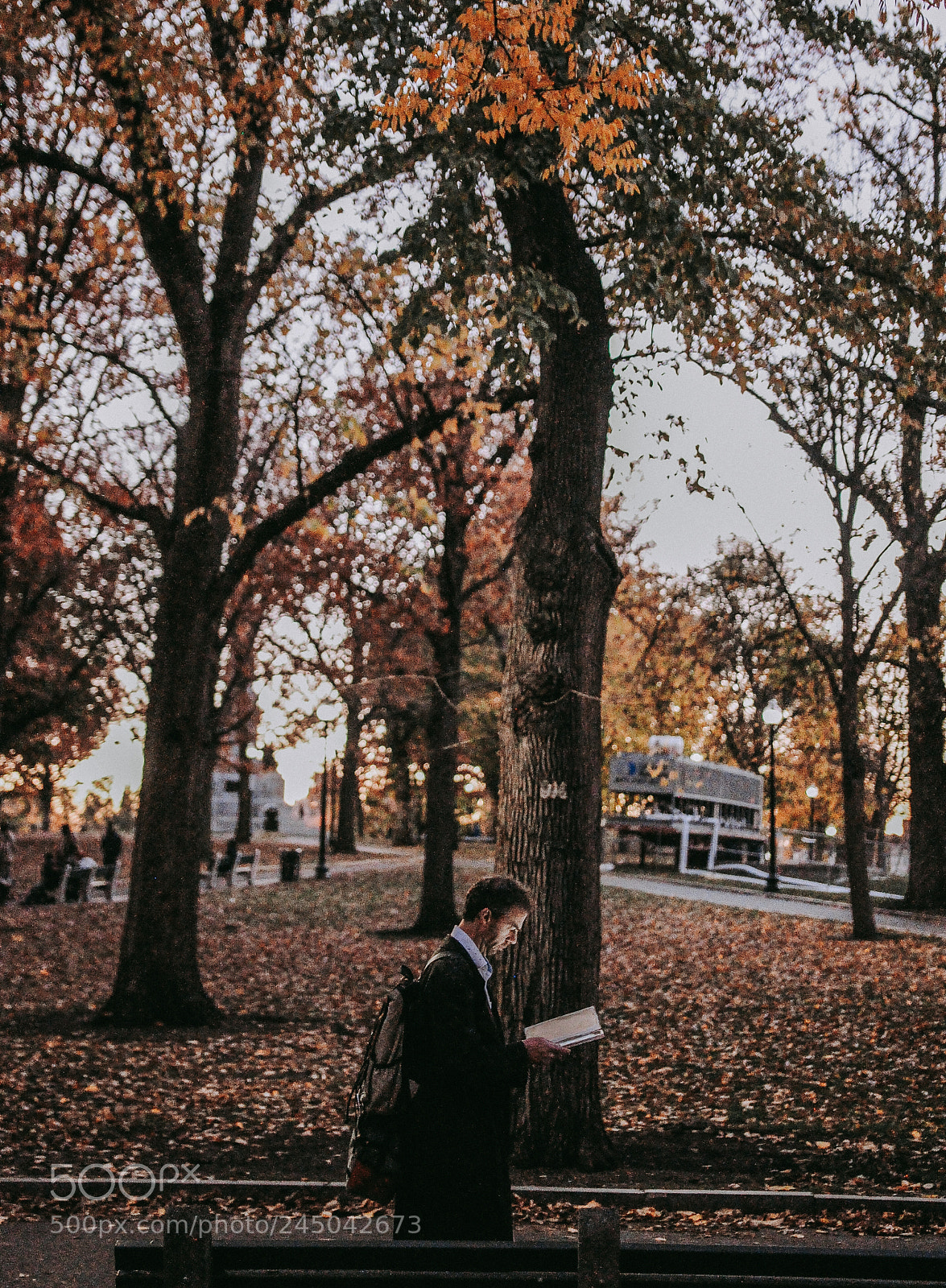 Nikon D90 sample photo. Boston city photography