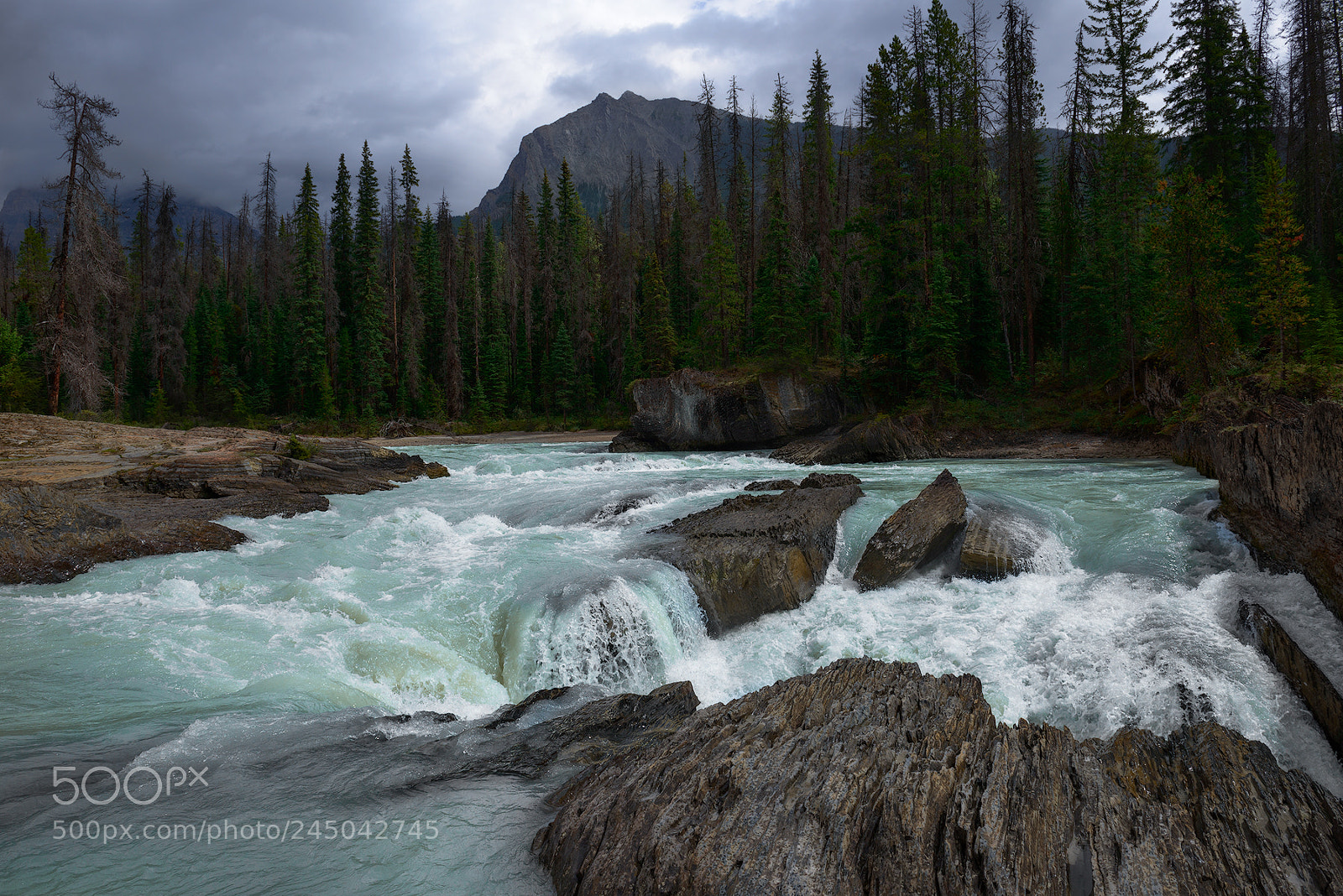 Nikon D800 sample photo. Natural bridge photography
