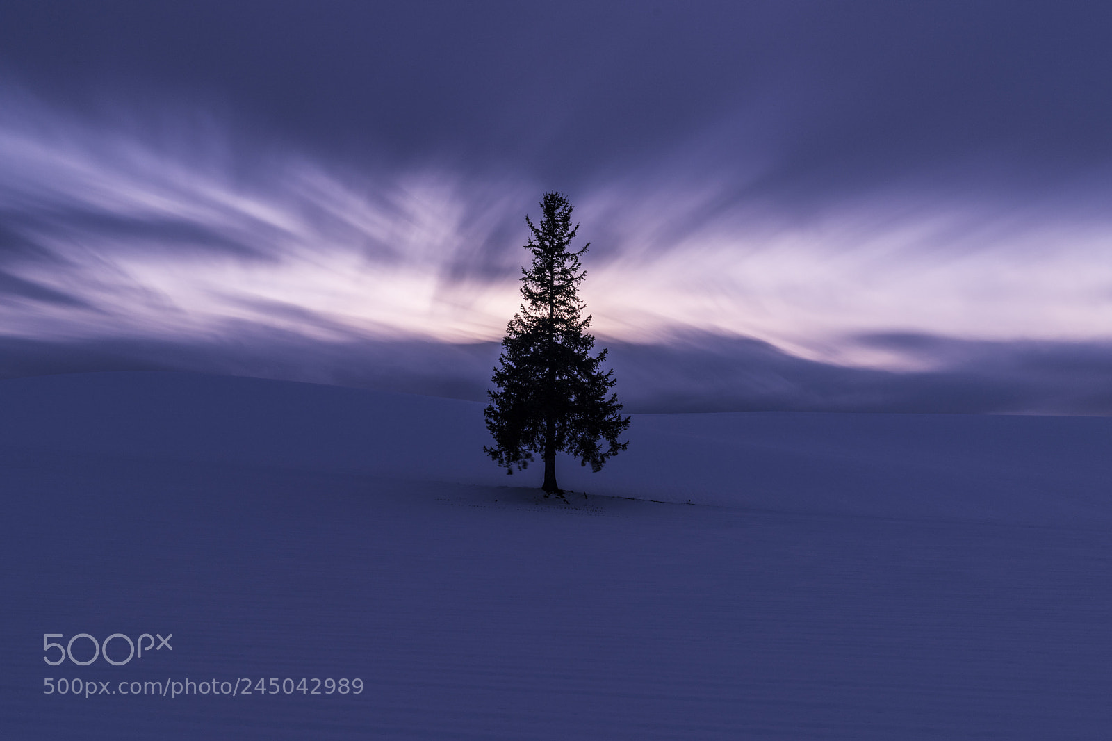 Sony a9 sample photo. Mysterious christmas tree photography