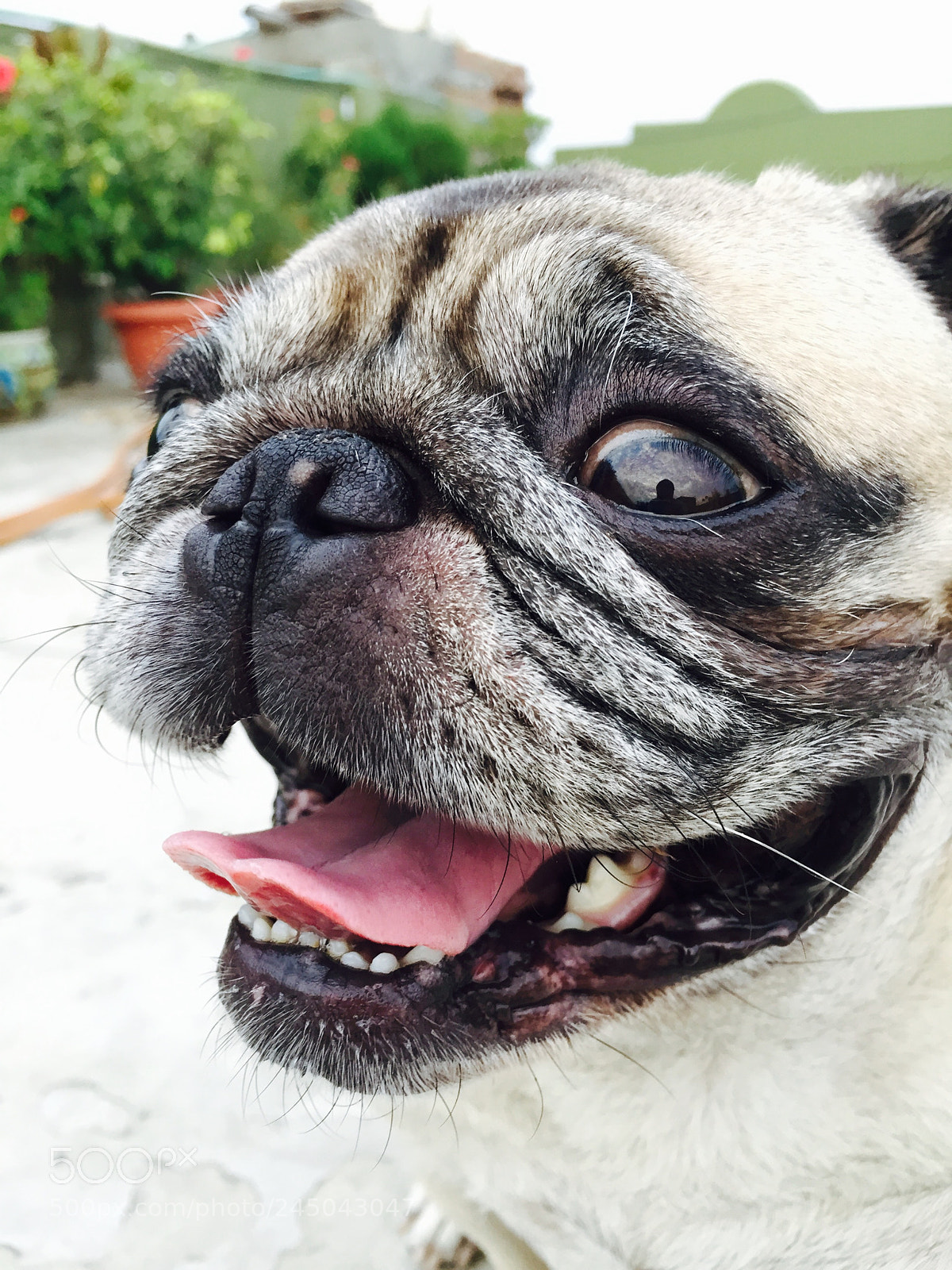 Apple iPhone 6 sample photo. I can see the photography