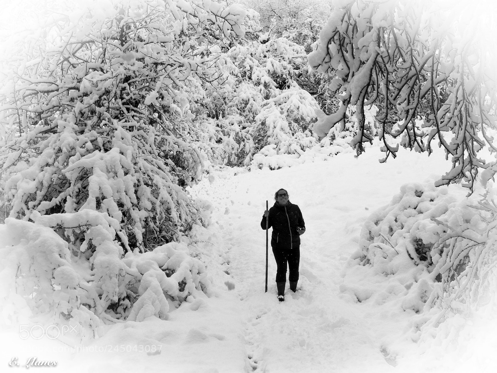 Fujifilm X30 sample photo. Nevadas photography