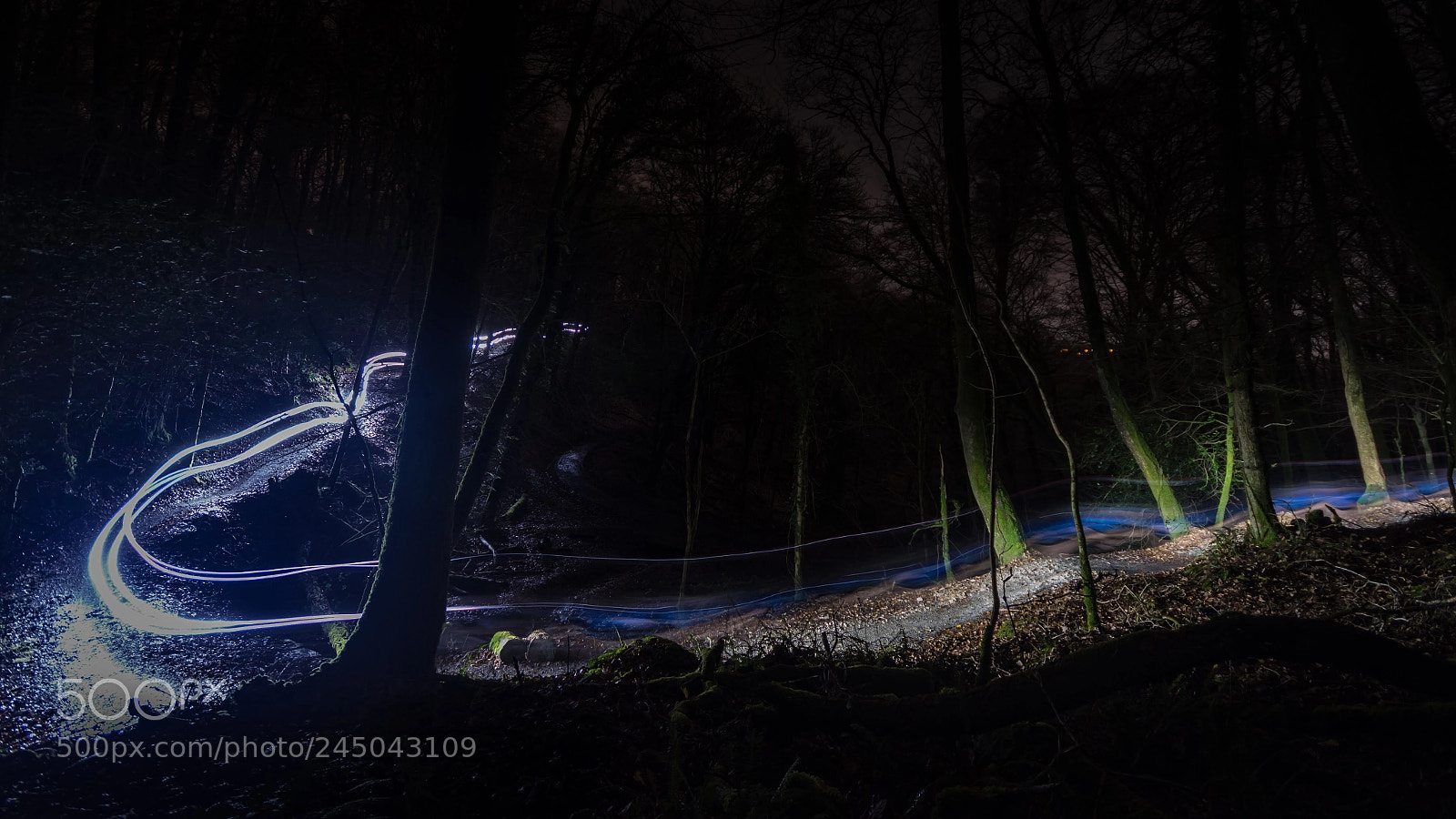 Nikon D7200 sample photo. Nike tick trail photography