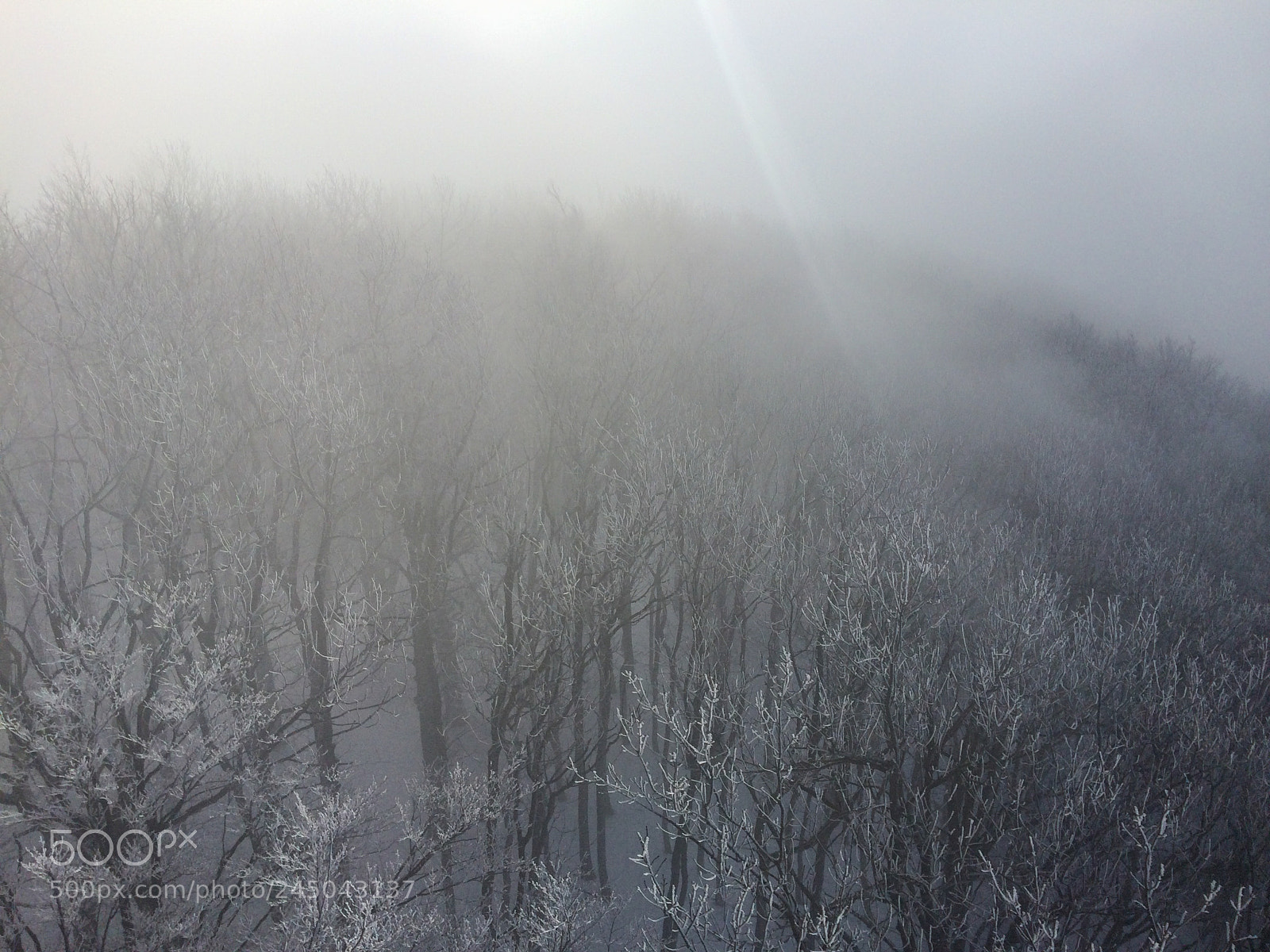 Apple iPhone 5s sample photo. Foggy mountain photography