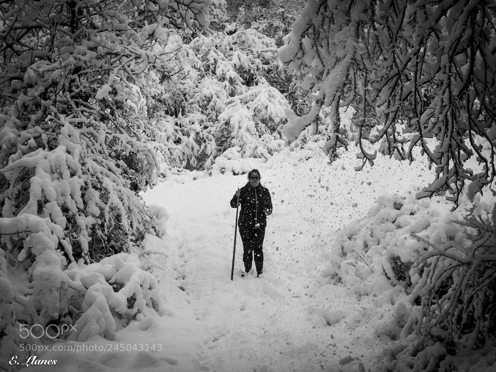 Fujifilm X30 sample photo. Nevadas photography