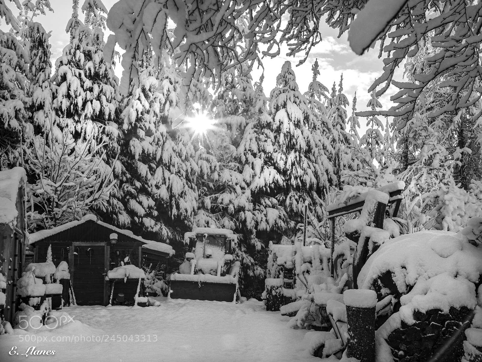 Fujifilm X30 sample photo. Nevadas photography