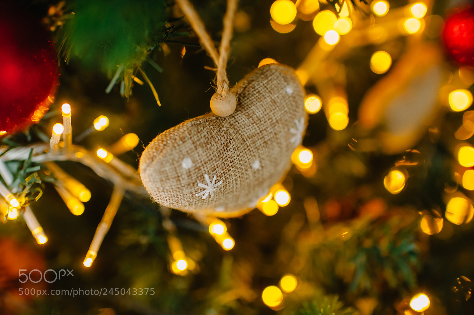 Nikon D700 sample photo. Christmas heart photography