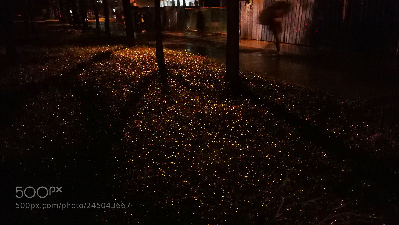 HUAWEI P10 sample photo. Fireflies in winter photography