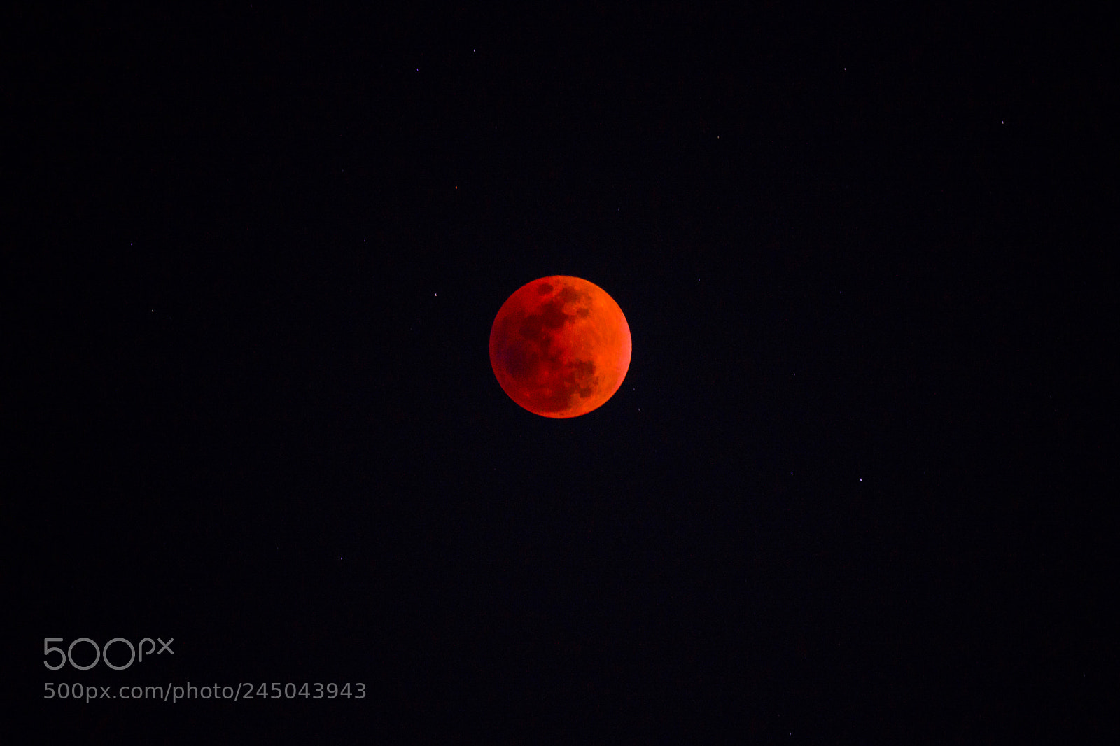 Nikon D800E sample photo. One photography