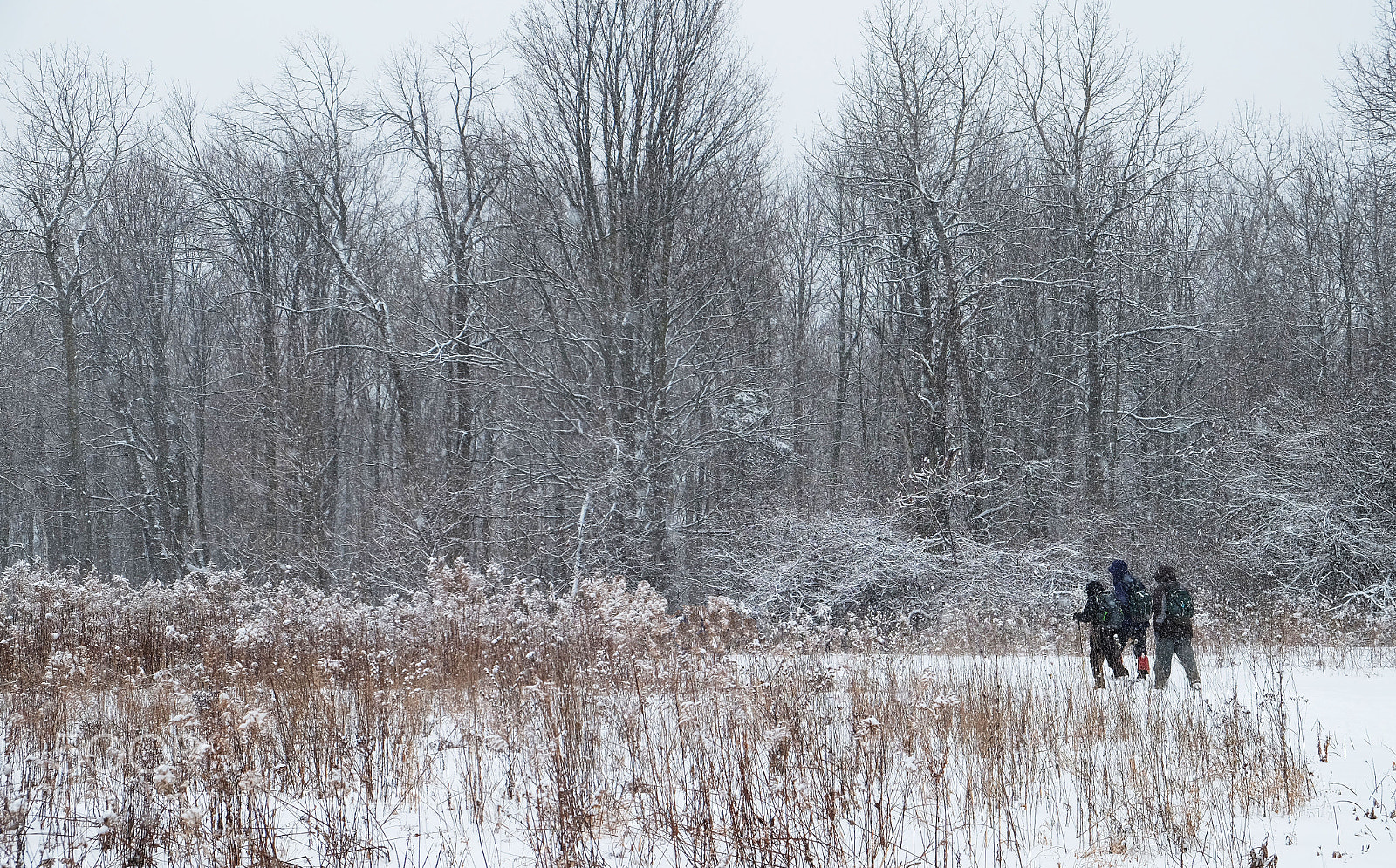 Fujifilm X-T10 sample photo. Winter hike photography