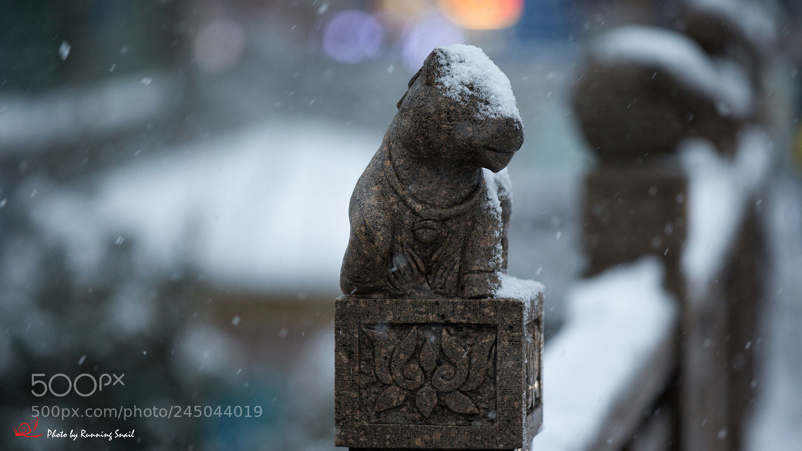 Canon EOS-1D X sample photo. Snow photography
